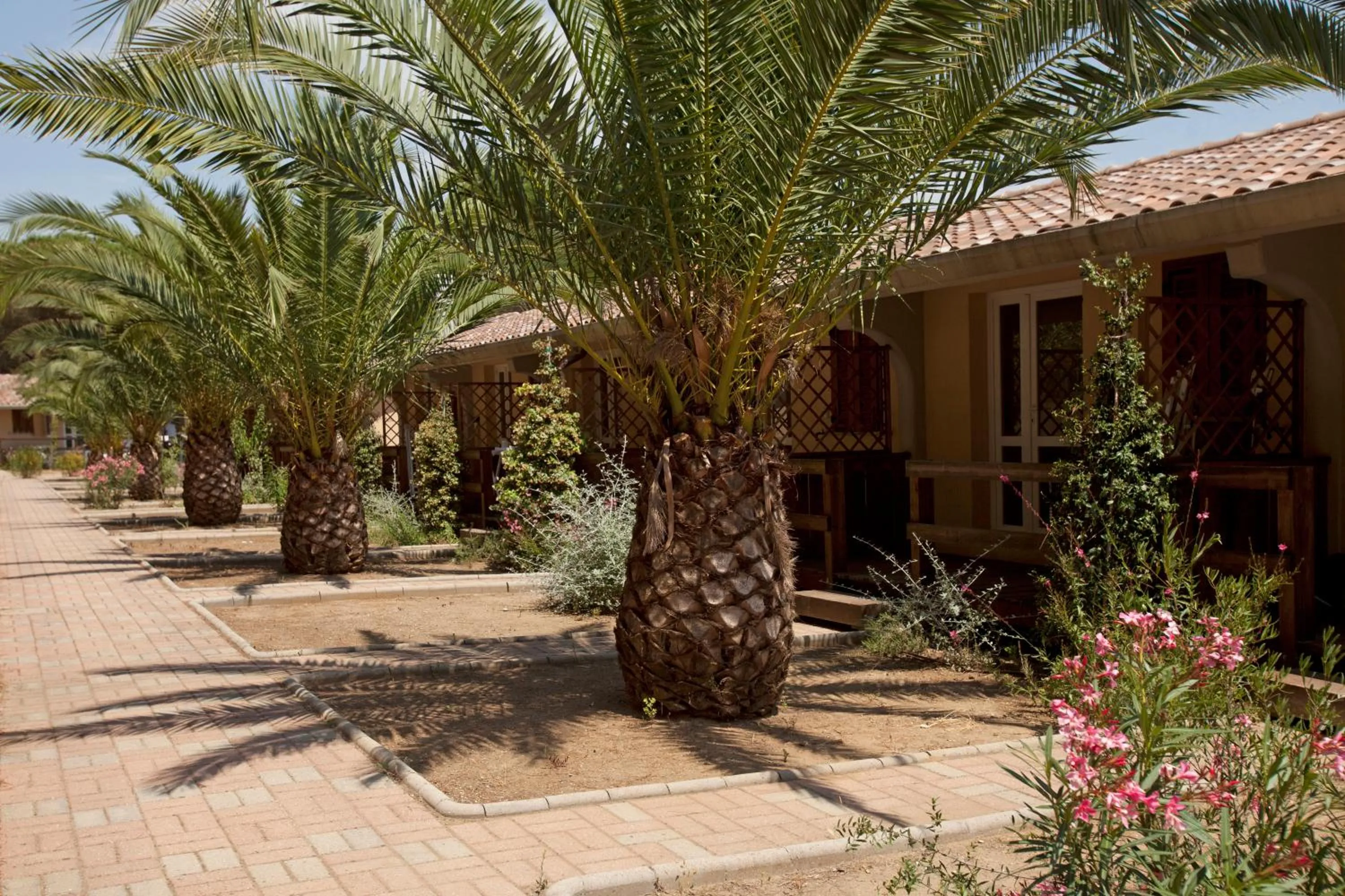 Day in Golfo di Maremma Village