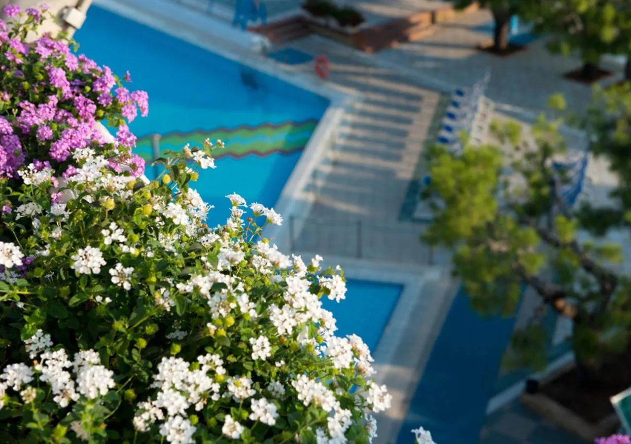 Pool view in Corvino Resort