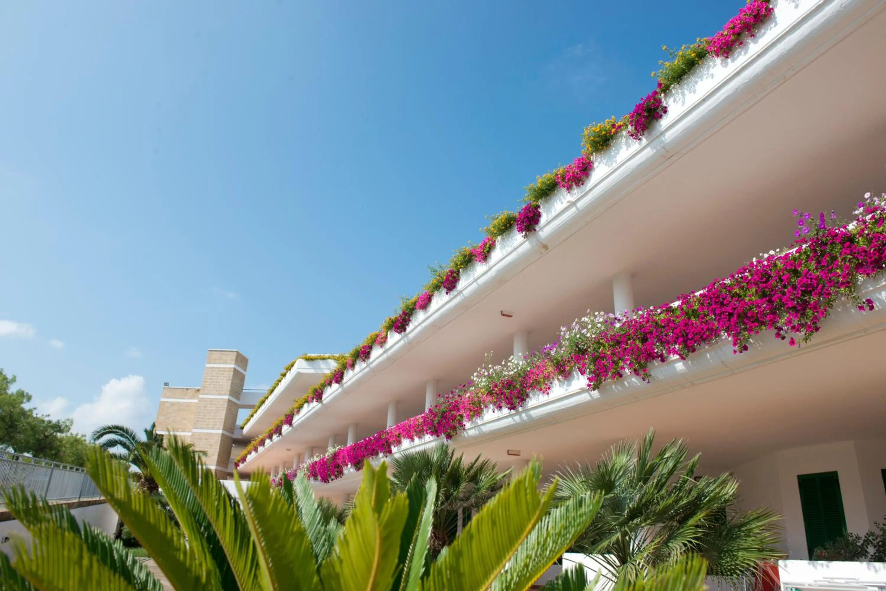 Property building in Corvino Resort