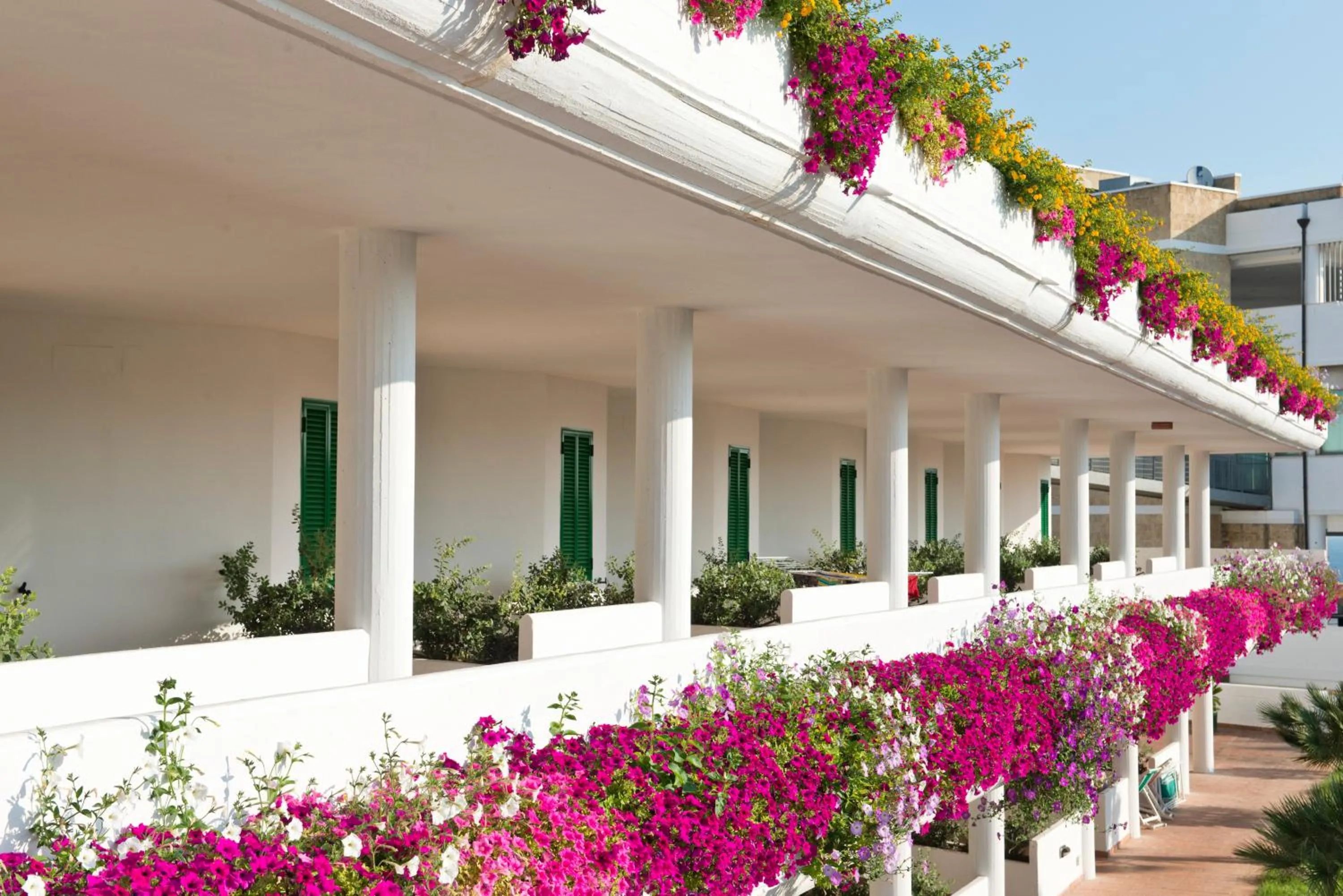 Balcony/Terrace in Corvino Resort