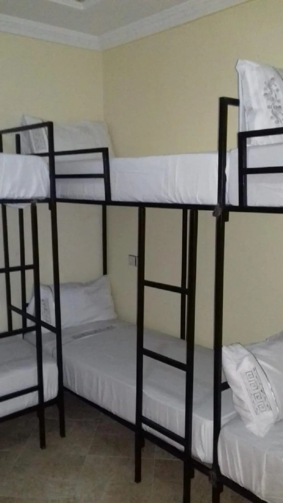 Bunk Bed in Female Dormitory Room   in Hostel Dream belko