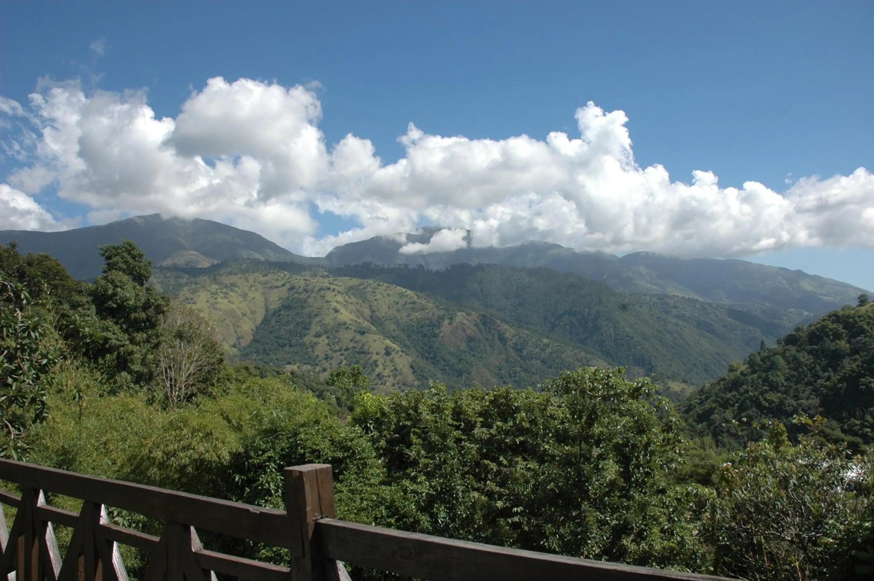 View (from property/room) in Forres Park Nature Retreat