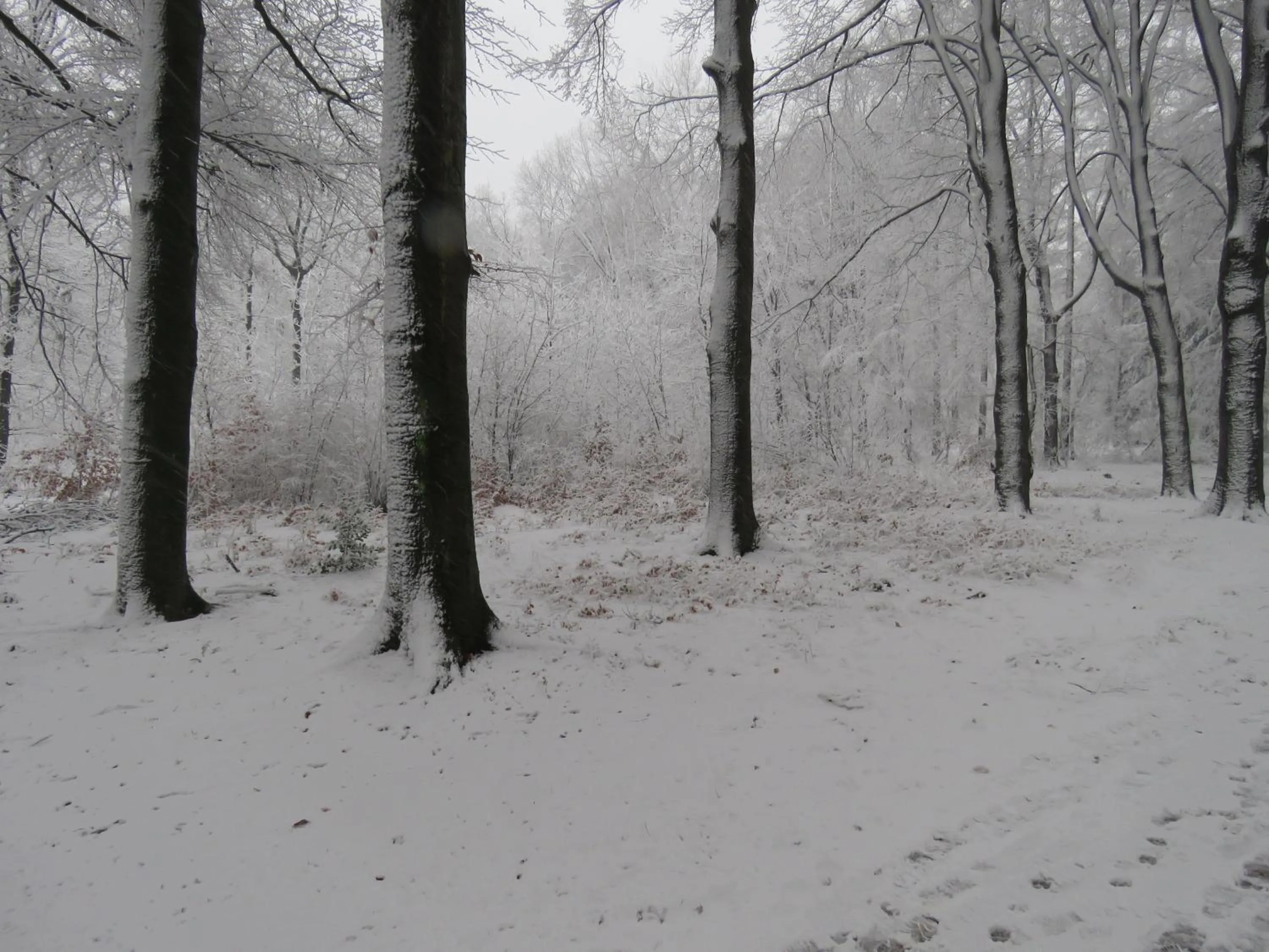 Neighbourhood in Teska Bed & Breakfast