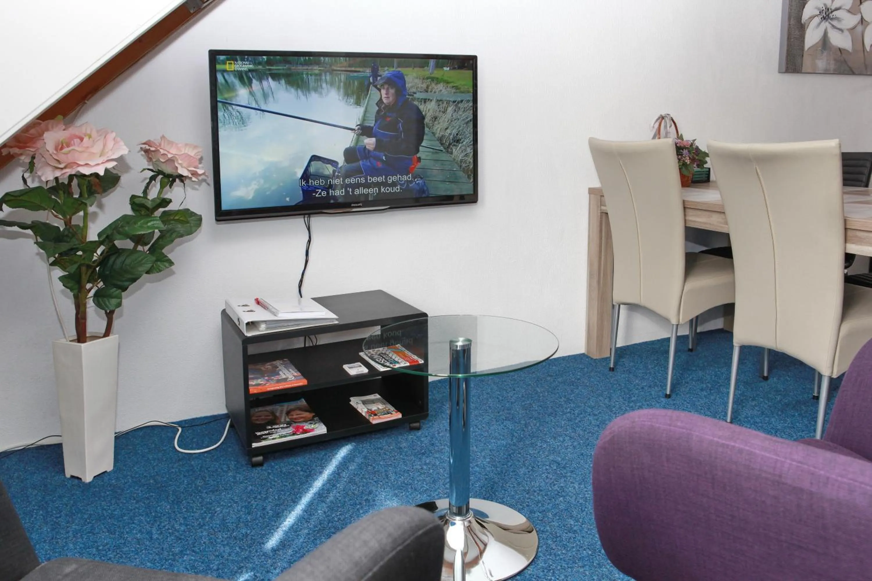 TV and multimedia in Teska Bed & Breakfast