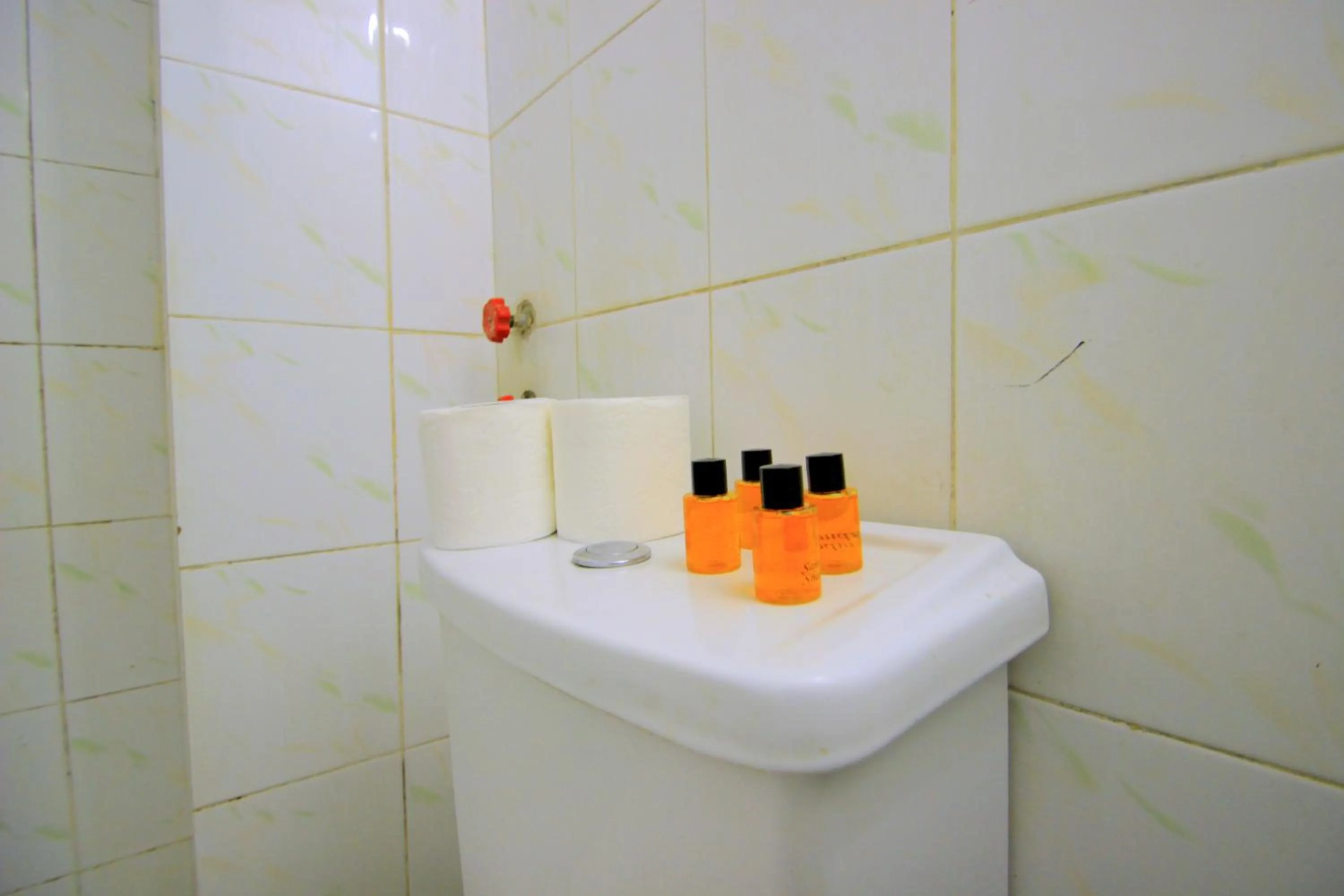 Toilet in Istanbul Metro Hotel