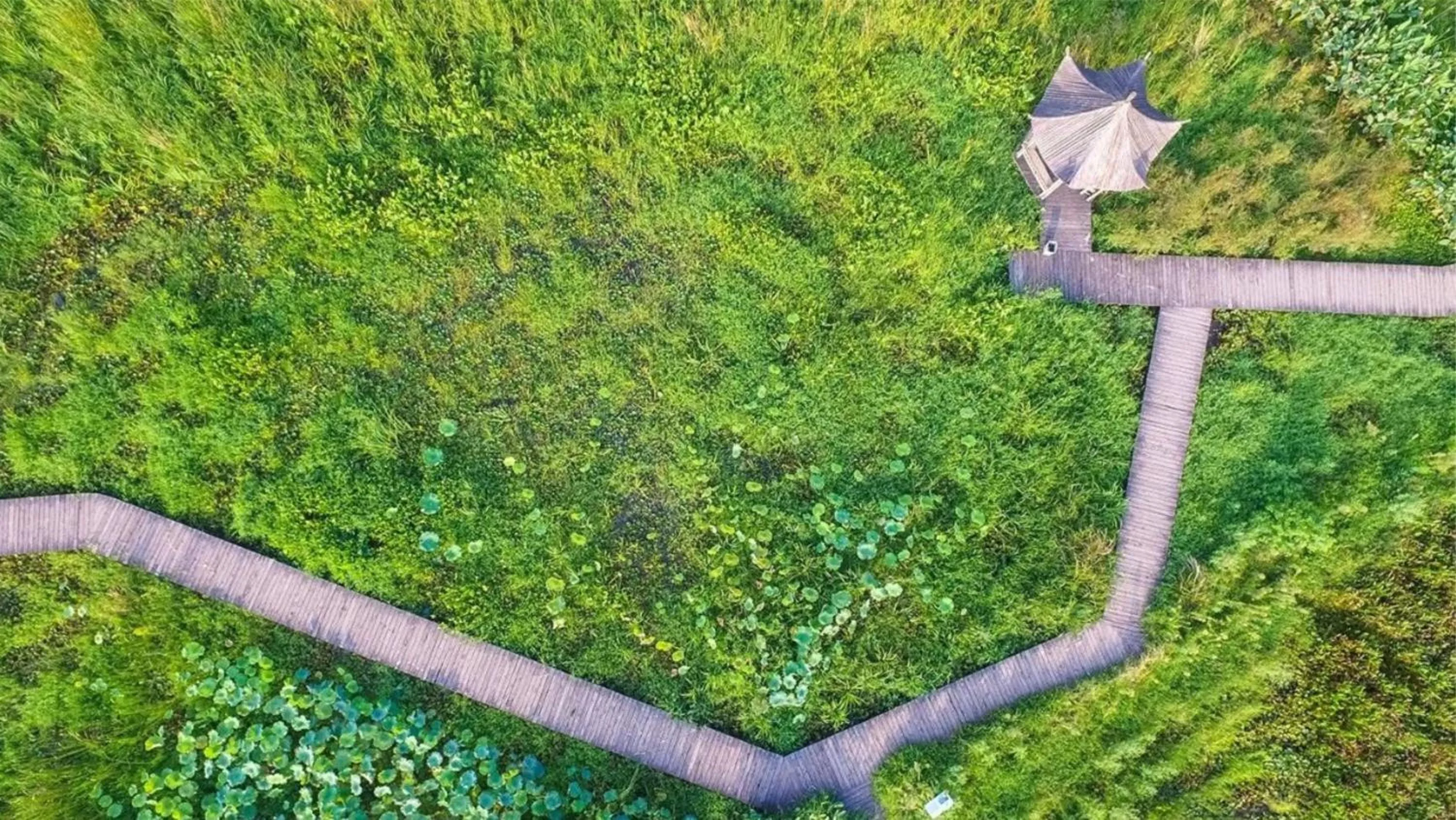 Nearby landmark in Crowne Plaza Deqing Moganshan by IHG