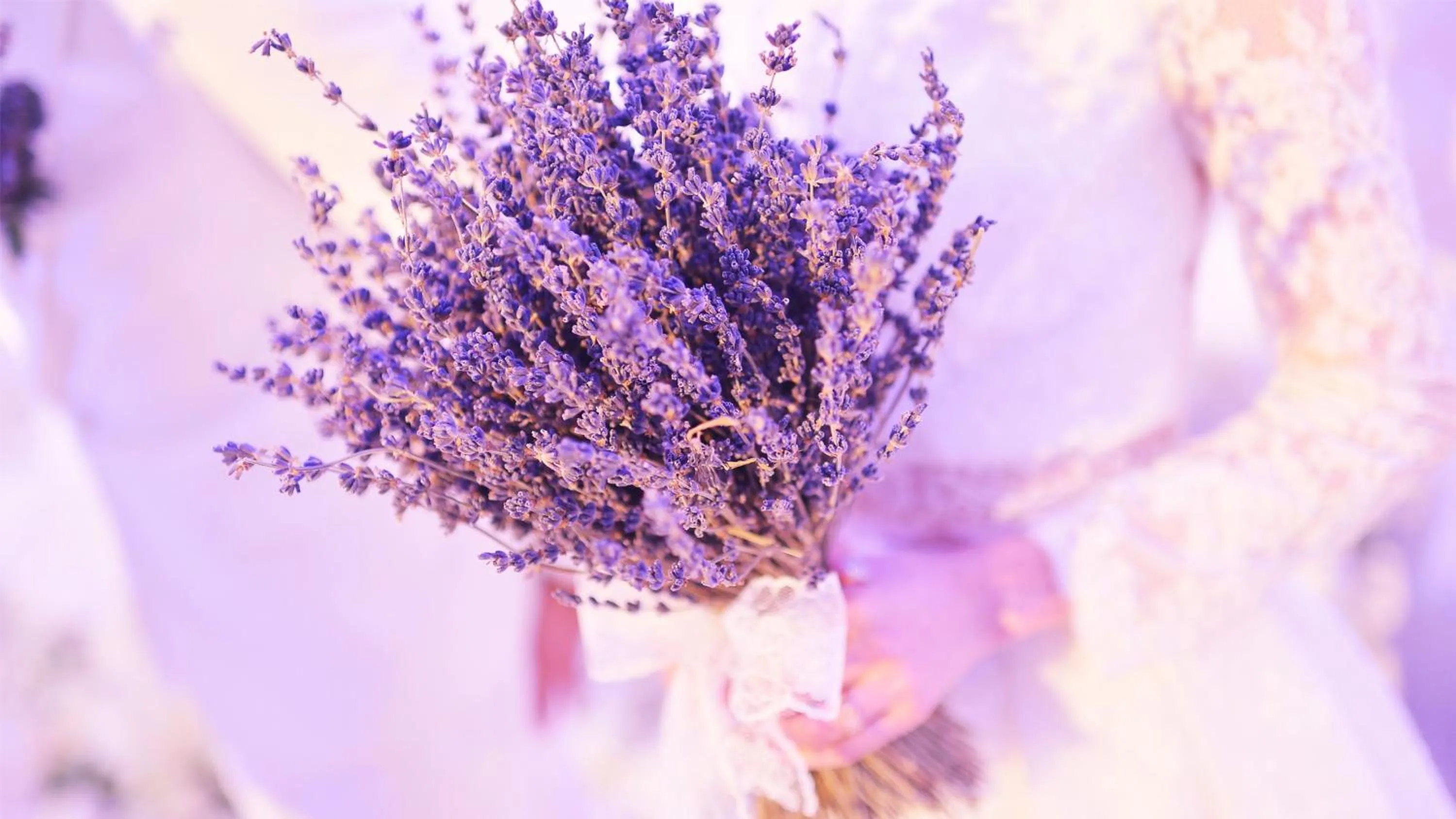 Meeting/conference room in Crowne Plaza Deqing Moganshan by IHG