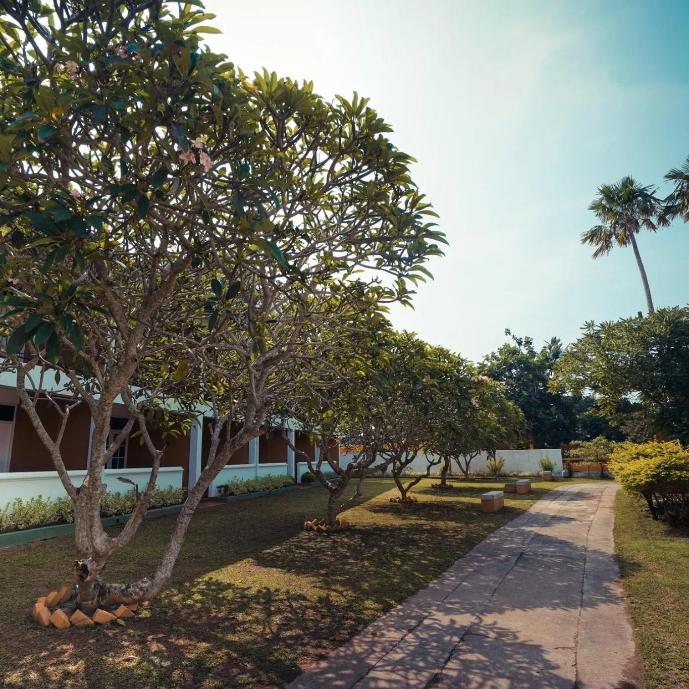 Property building in Reef Garden Hotel