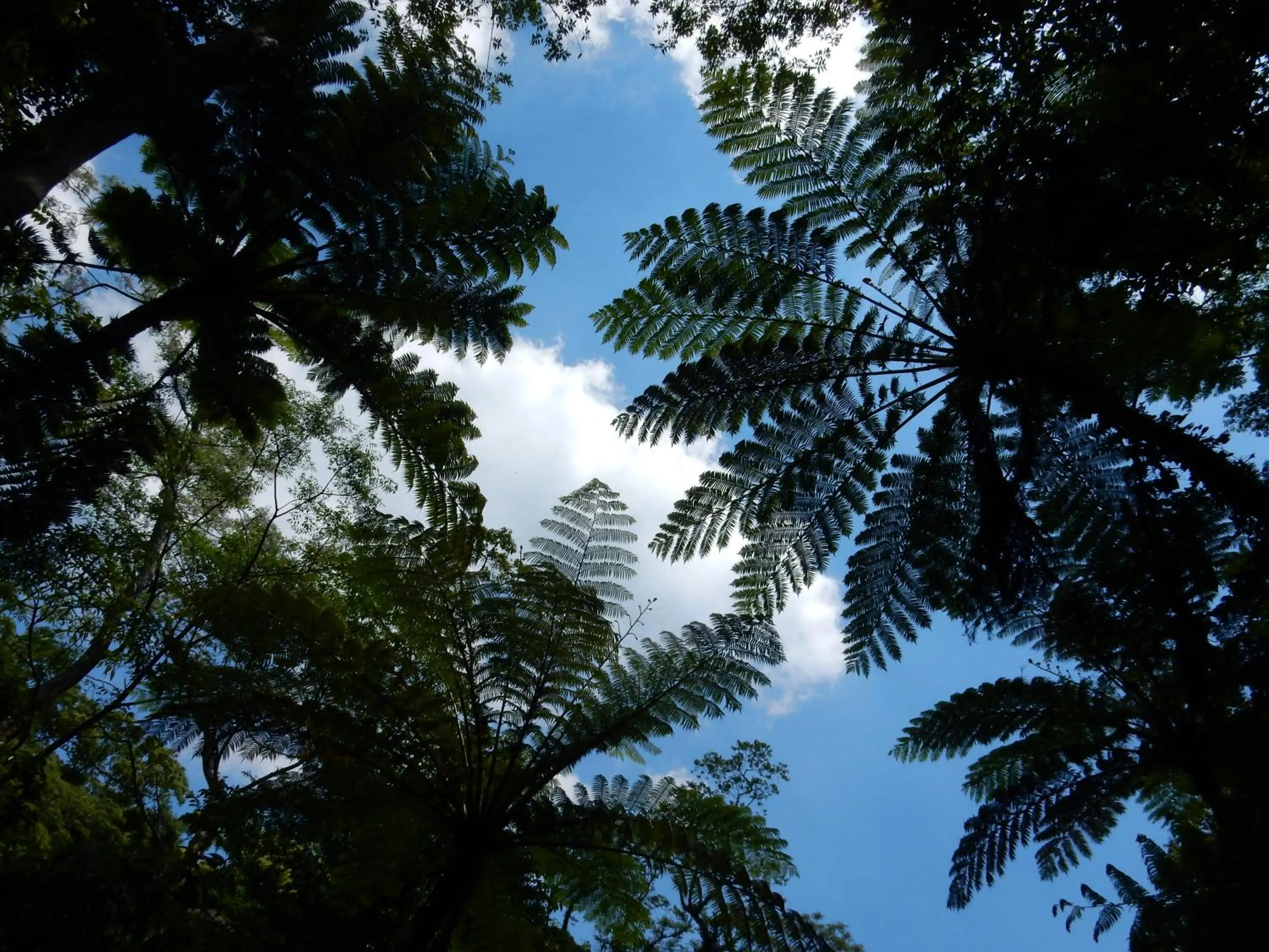 Off site in Ada Garden Hotel Okinawa