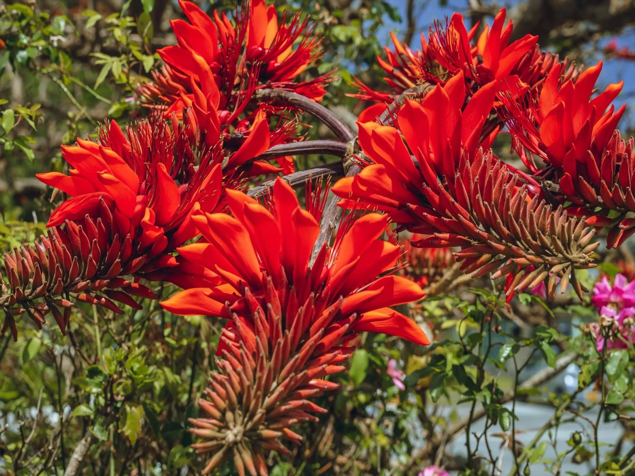 Off site in Ada Garden Hotel Okinawa