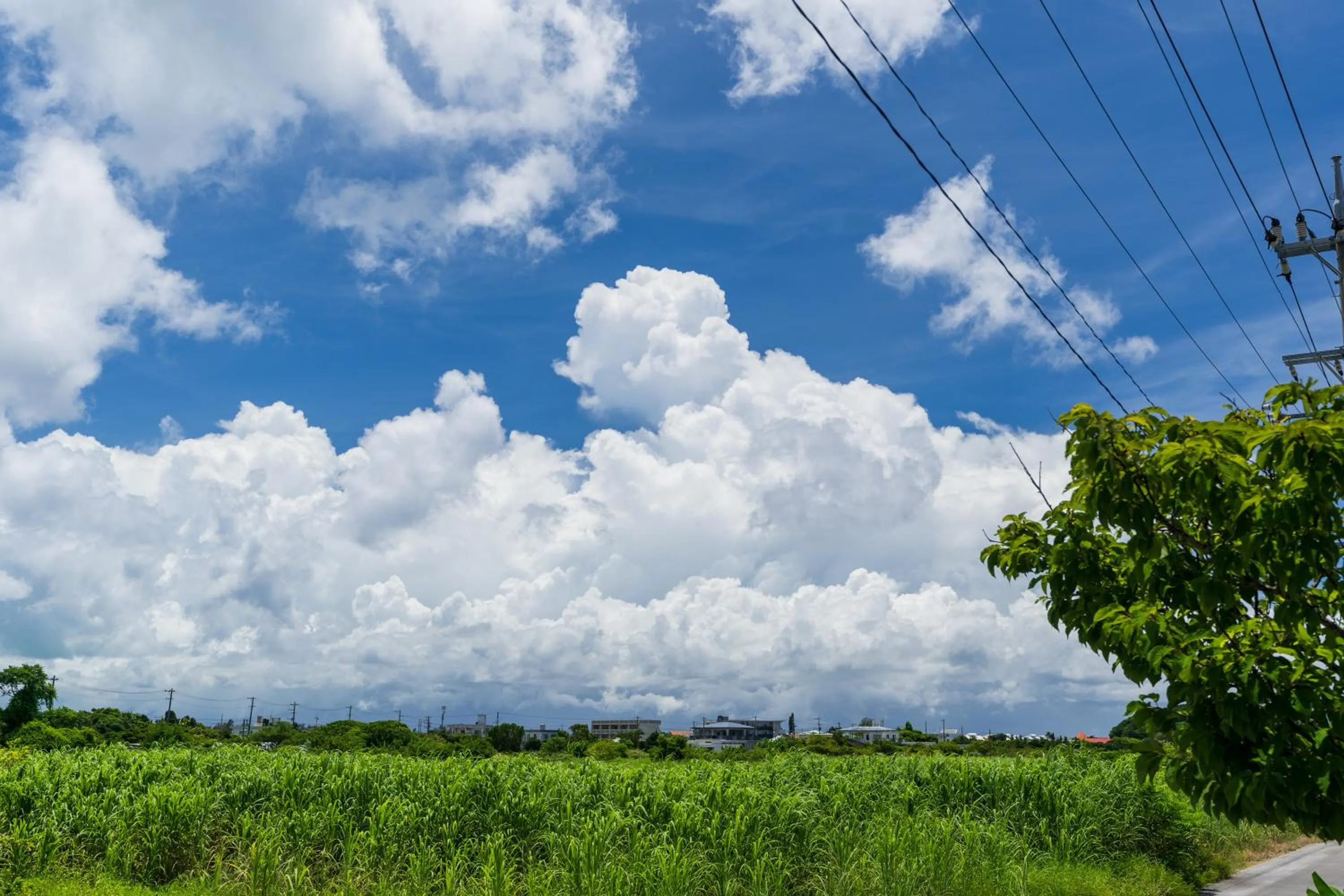 Day in Ada Garden Hotel Okinawa
