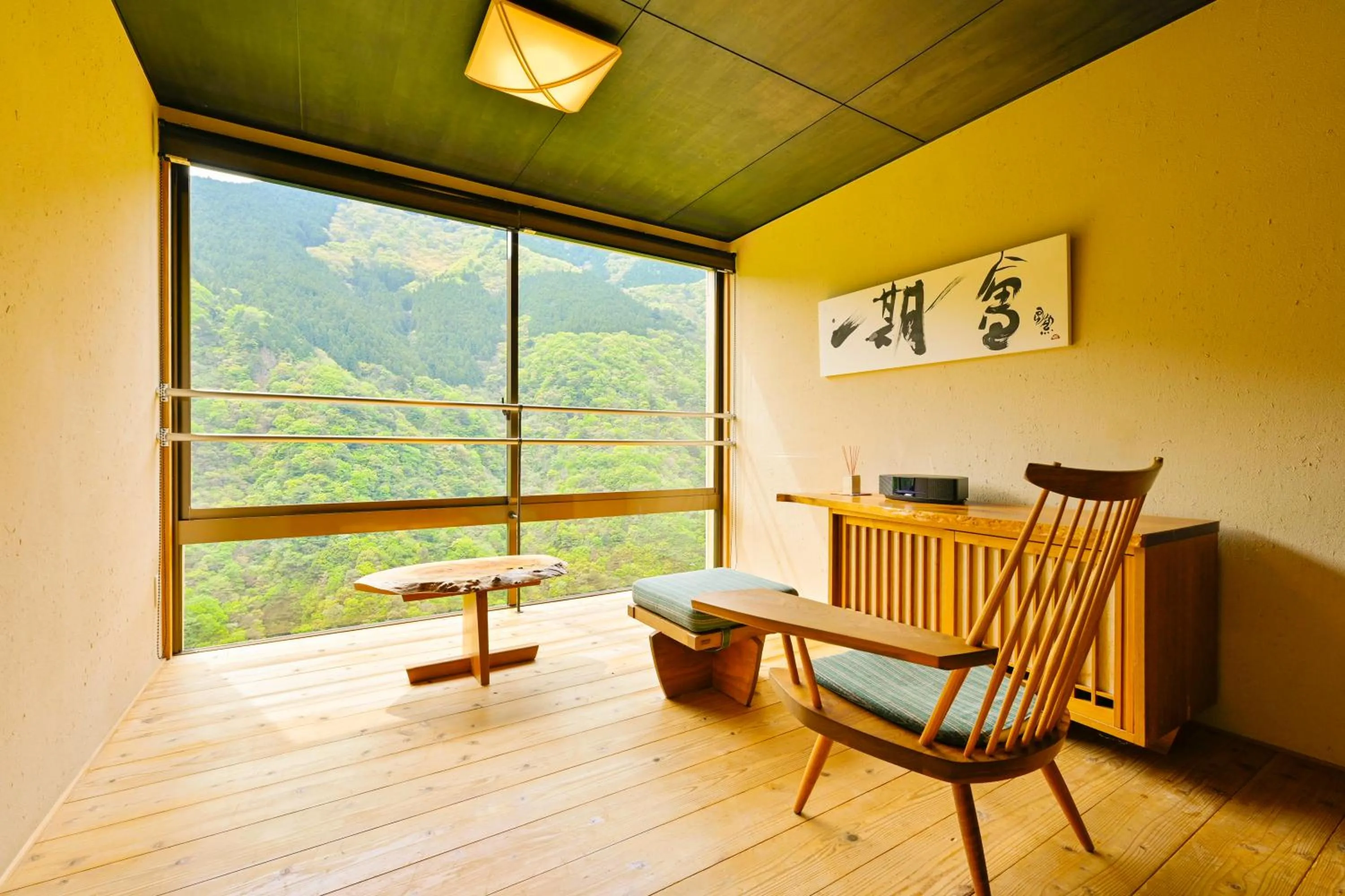 View (from property/room) in Iya Onsen