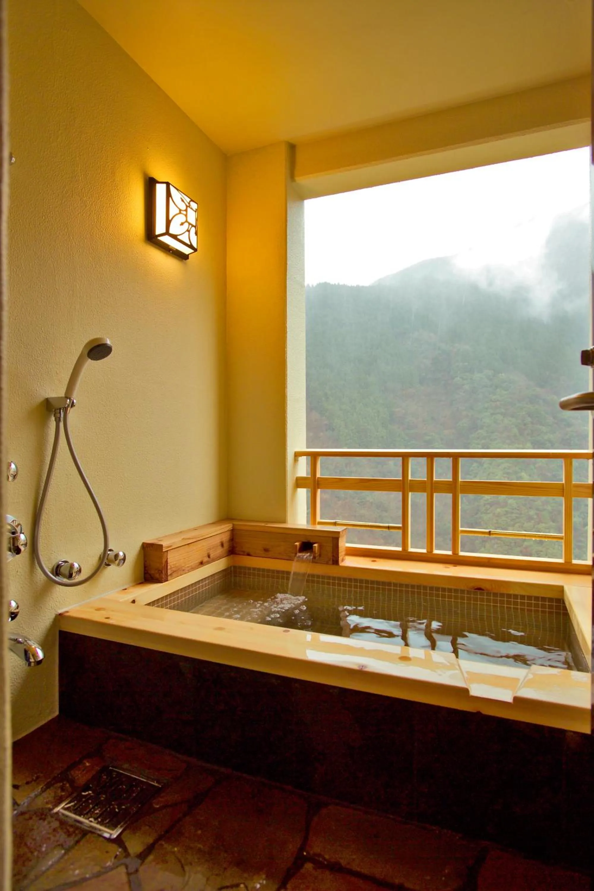 Photo of the whole room in Iya Onsen