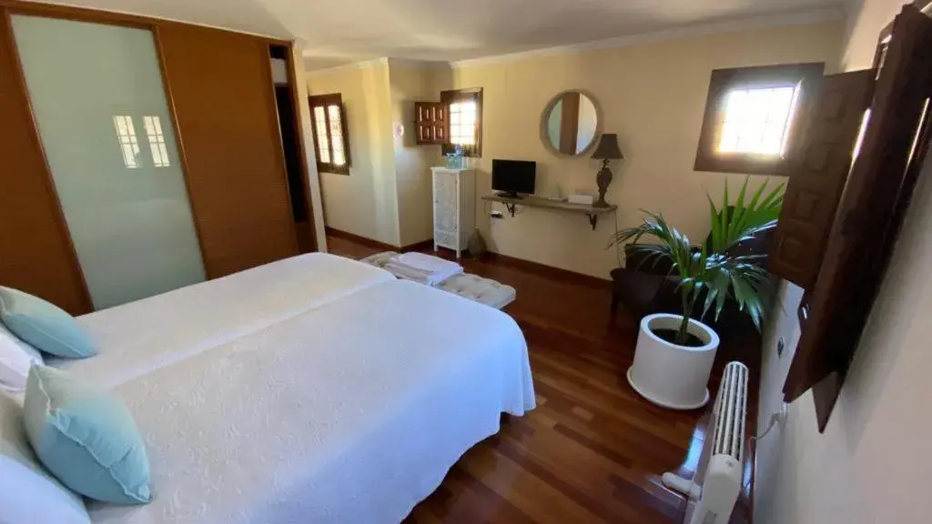 Superior Suite - single occupancy in La Posada de Chinchilla Superior Suite - single occupancy in La Posada de Chinchilla