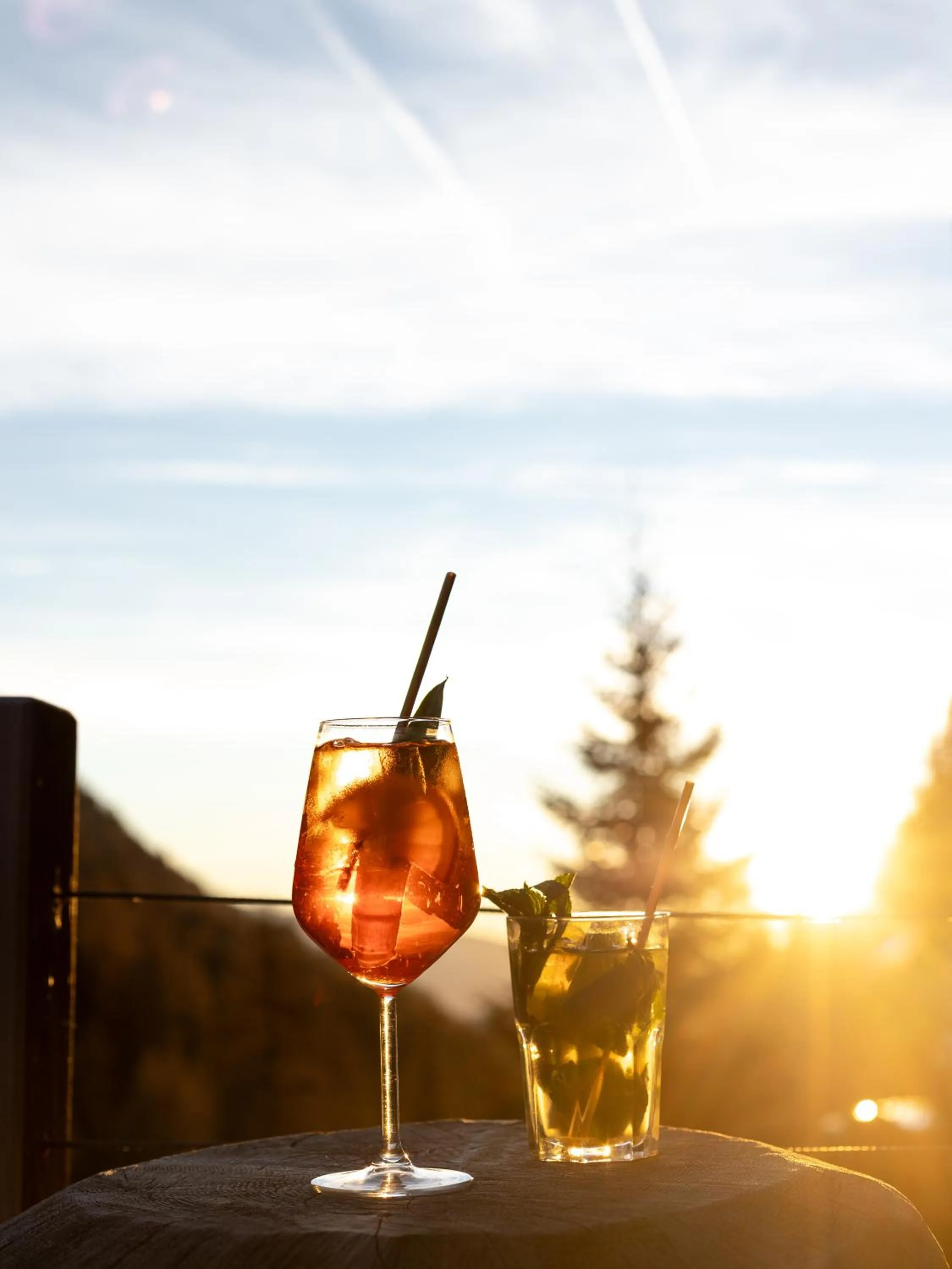 Balcony/Terrace in Hotel Scoiattolo