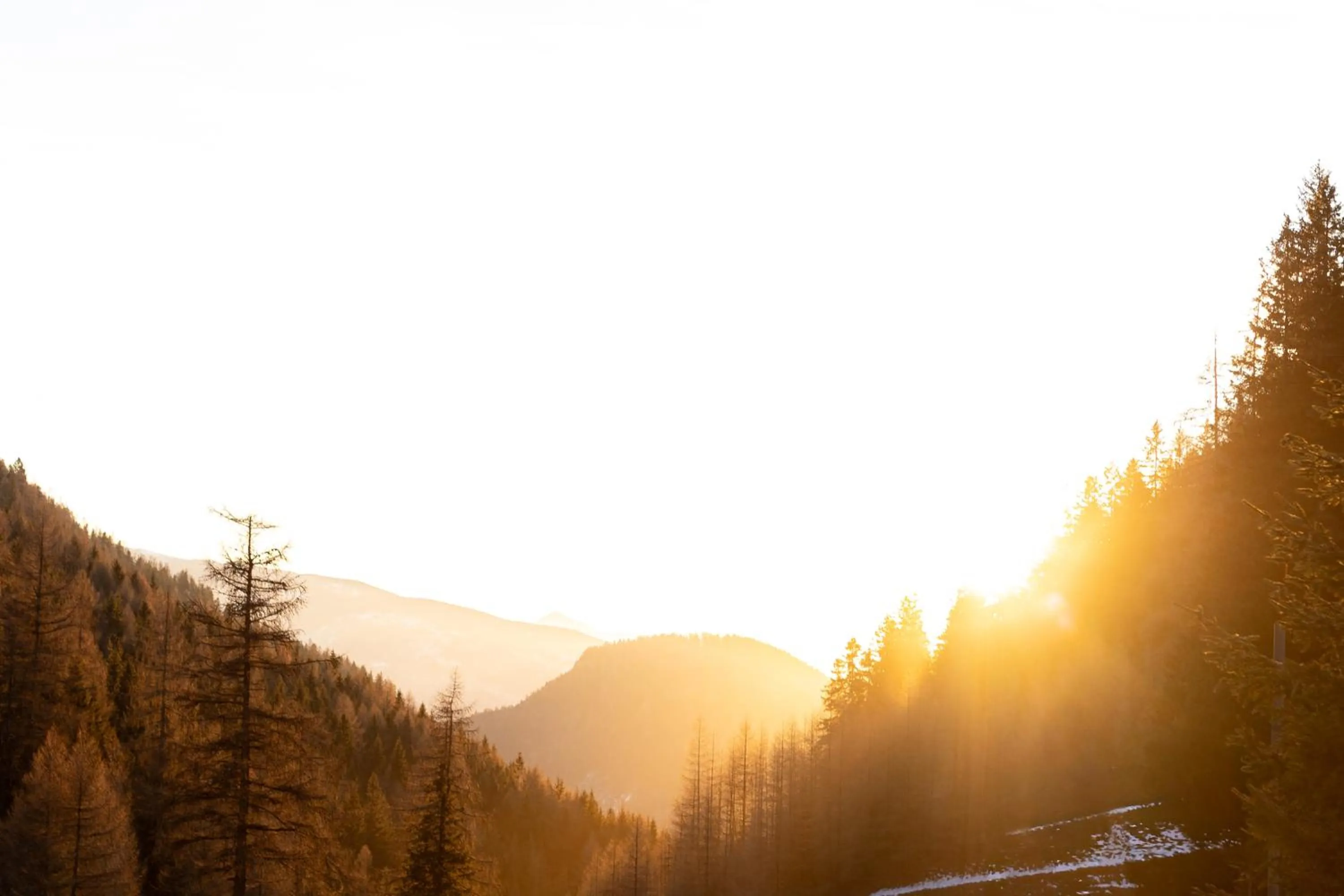 Balcony/Terrace in Hotel Scoiattolo