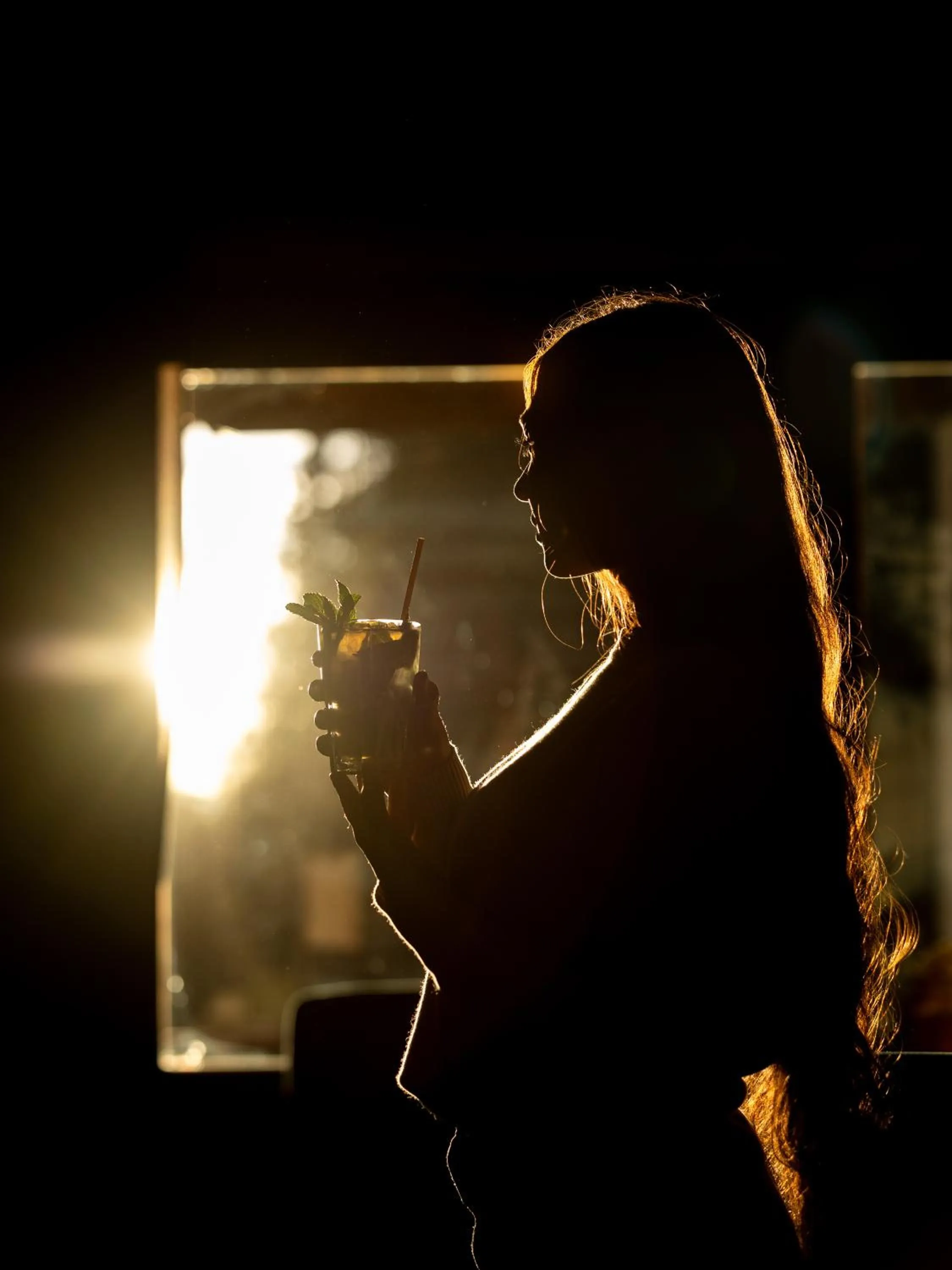 Lounge or bar in Hotel Scoiattolo