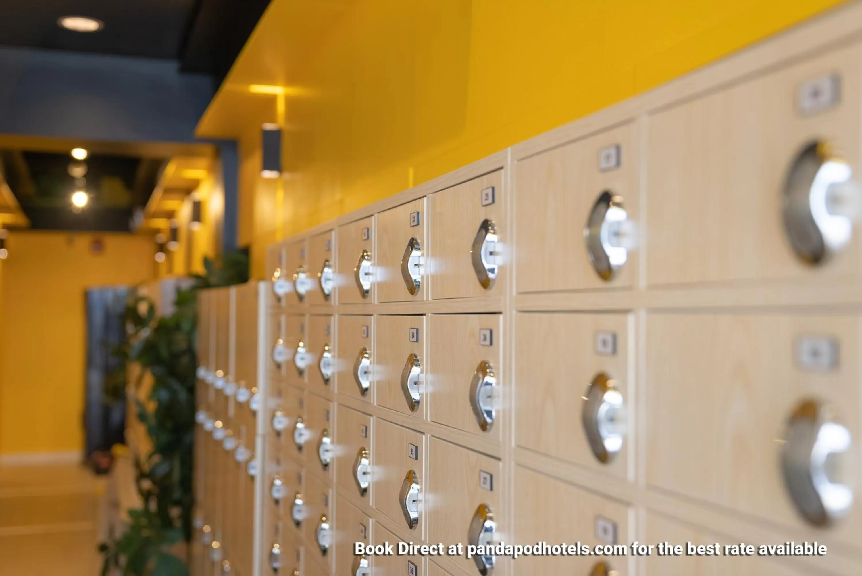 Lobby or reception in Panda Pod Hotel
