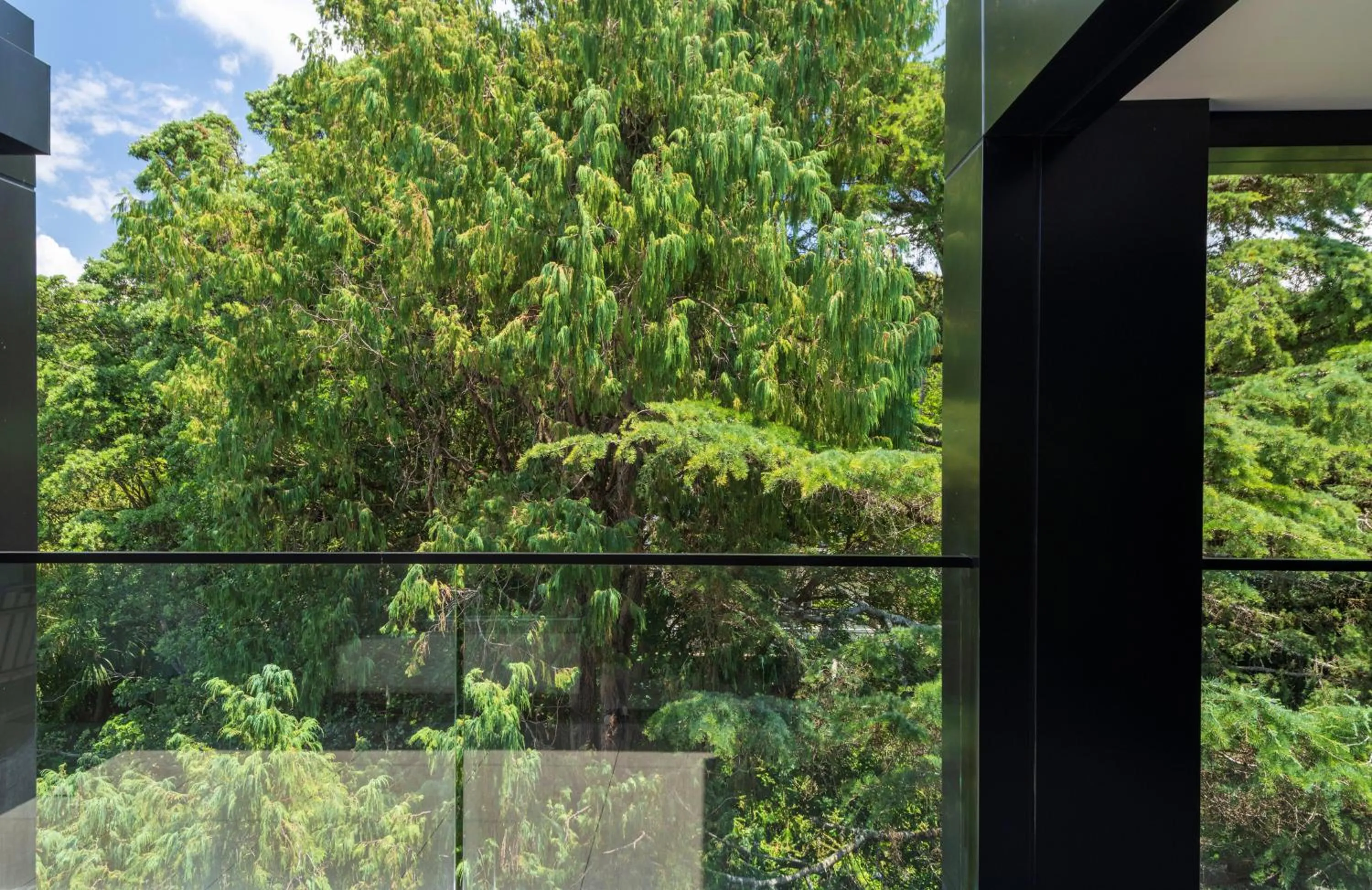 Garden view in The Edgerley Suites