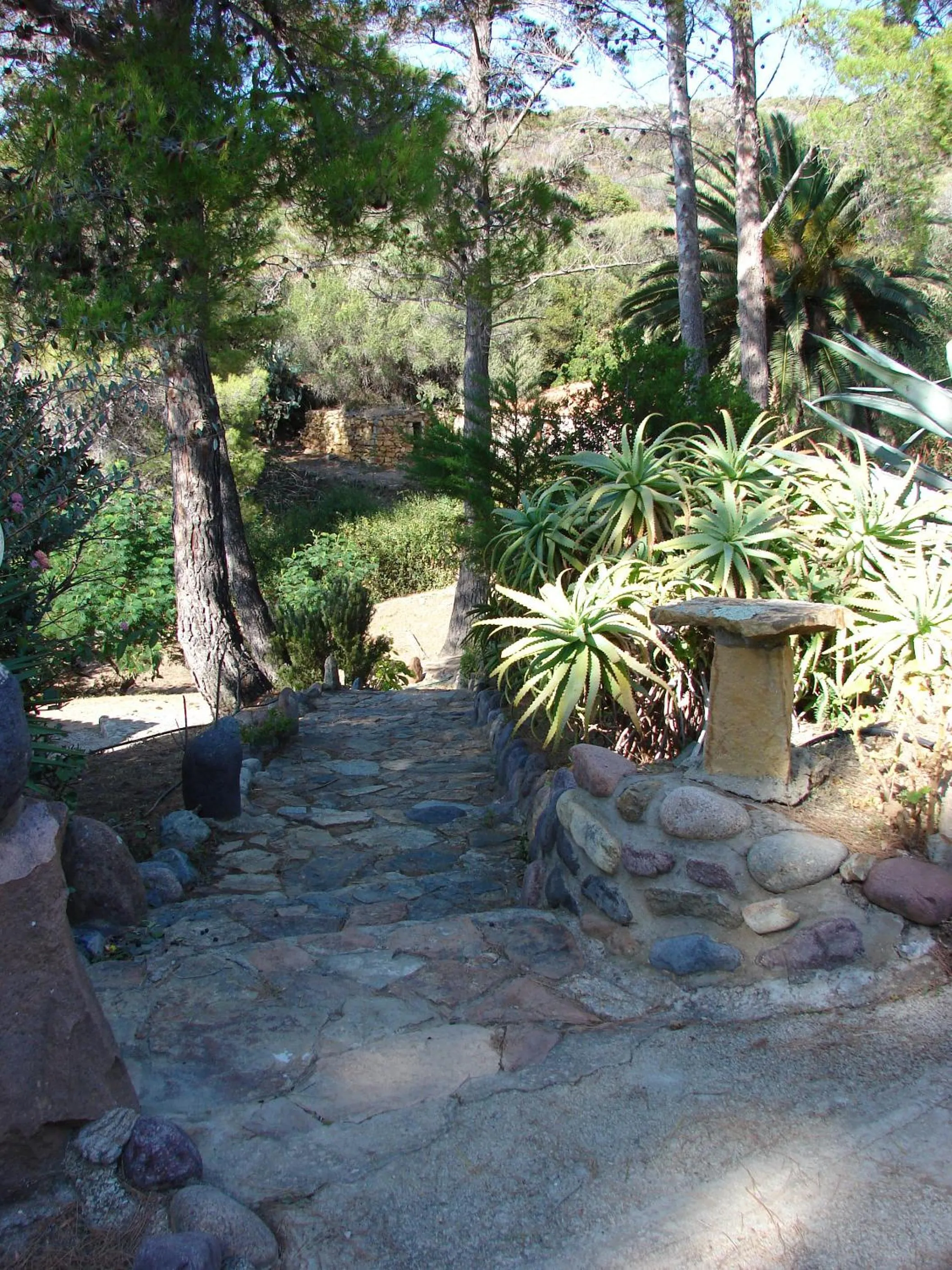 Garden in Auberge Ferayola