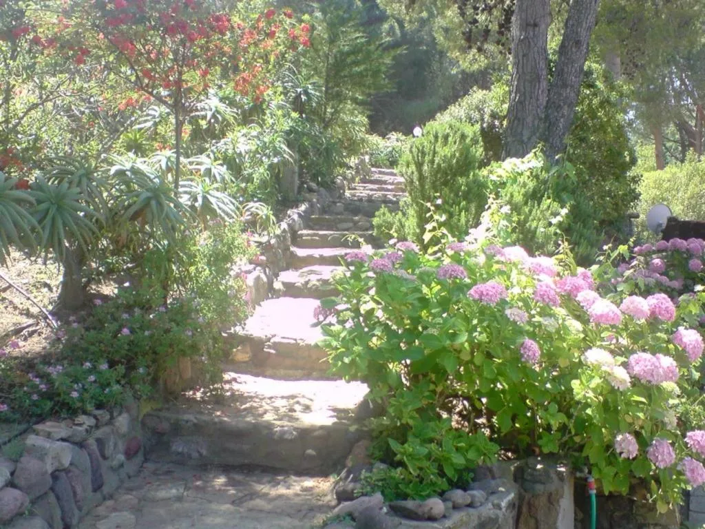 Garden in Auberge Ferayola