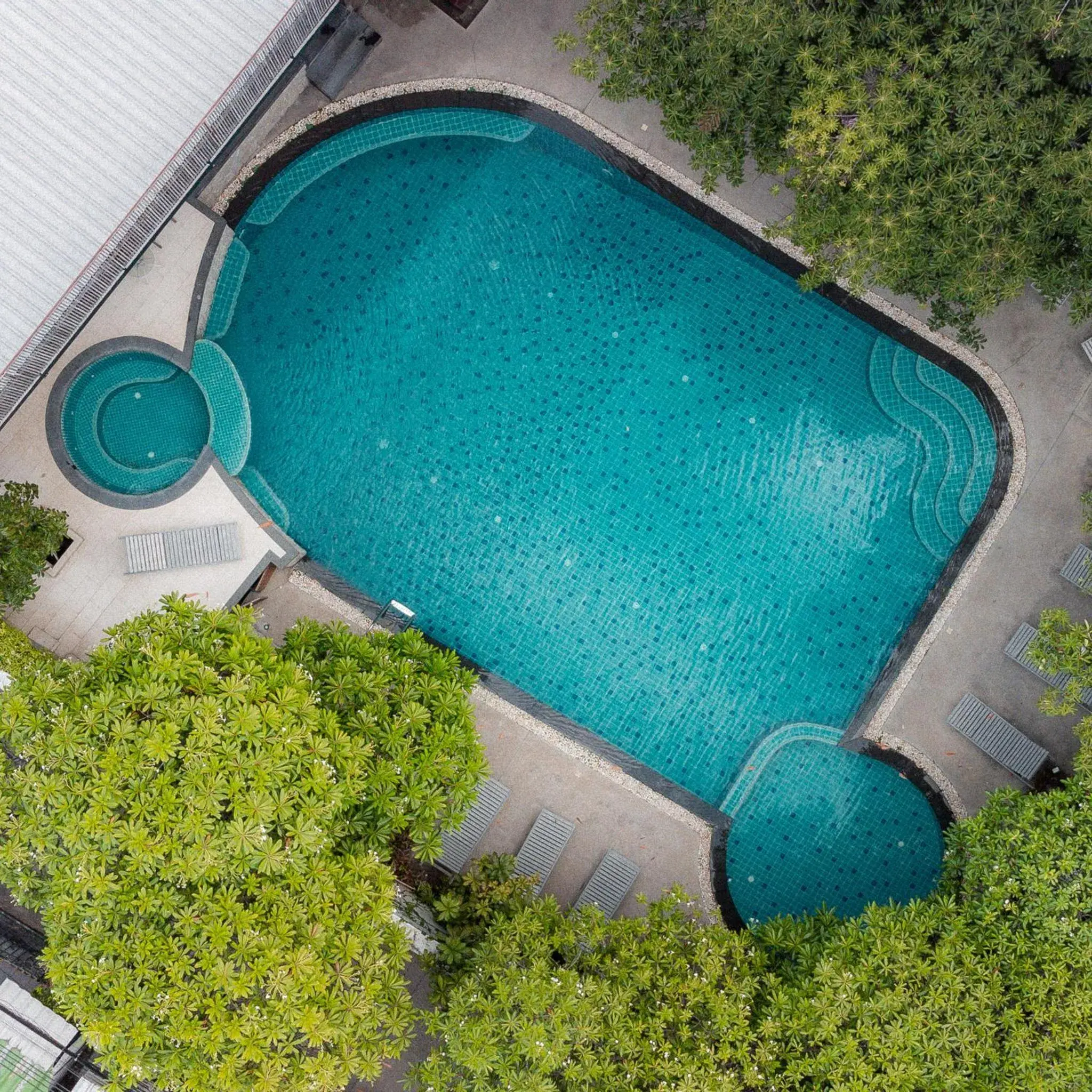 Swimming pool, Pool View in Prs Hotel