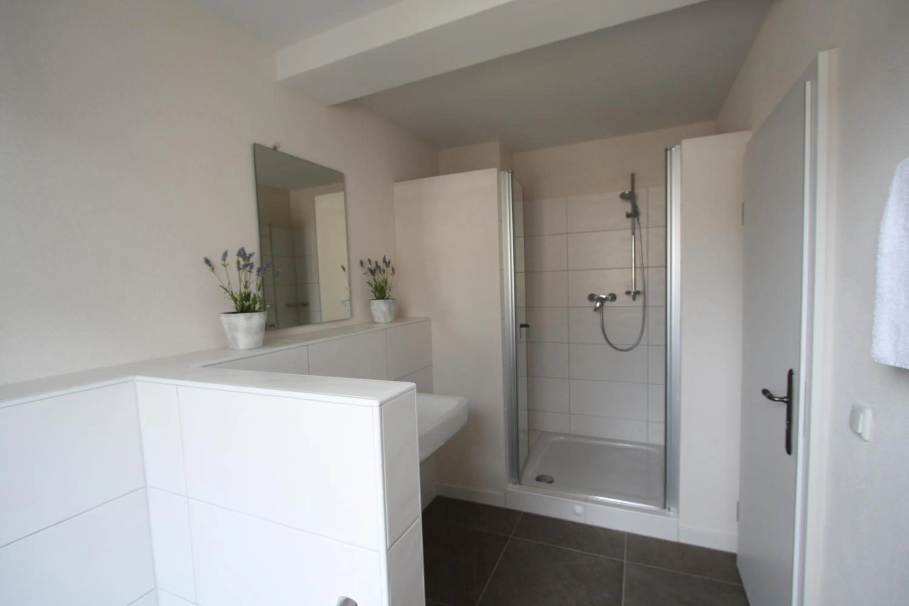 Bathroom in Eifelhof Brohl