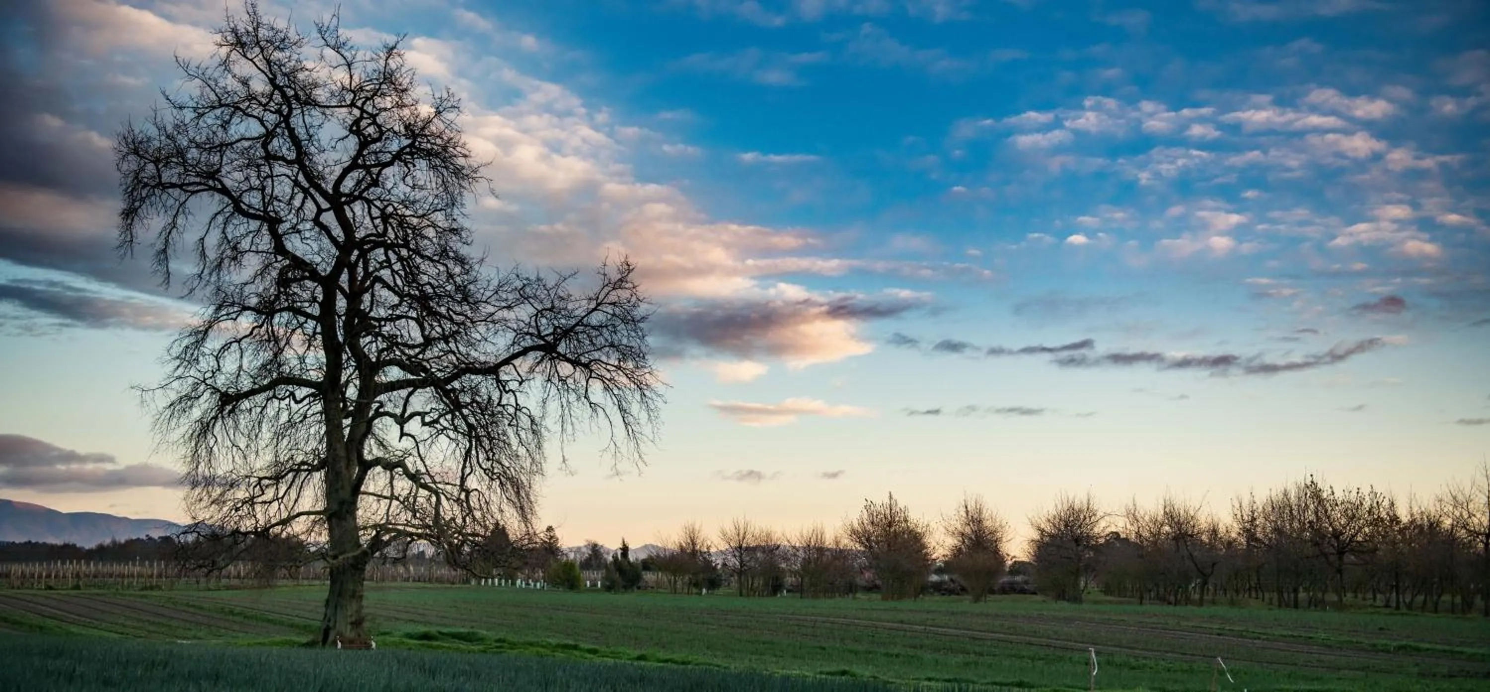 Spring in River Road Retreat