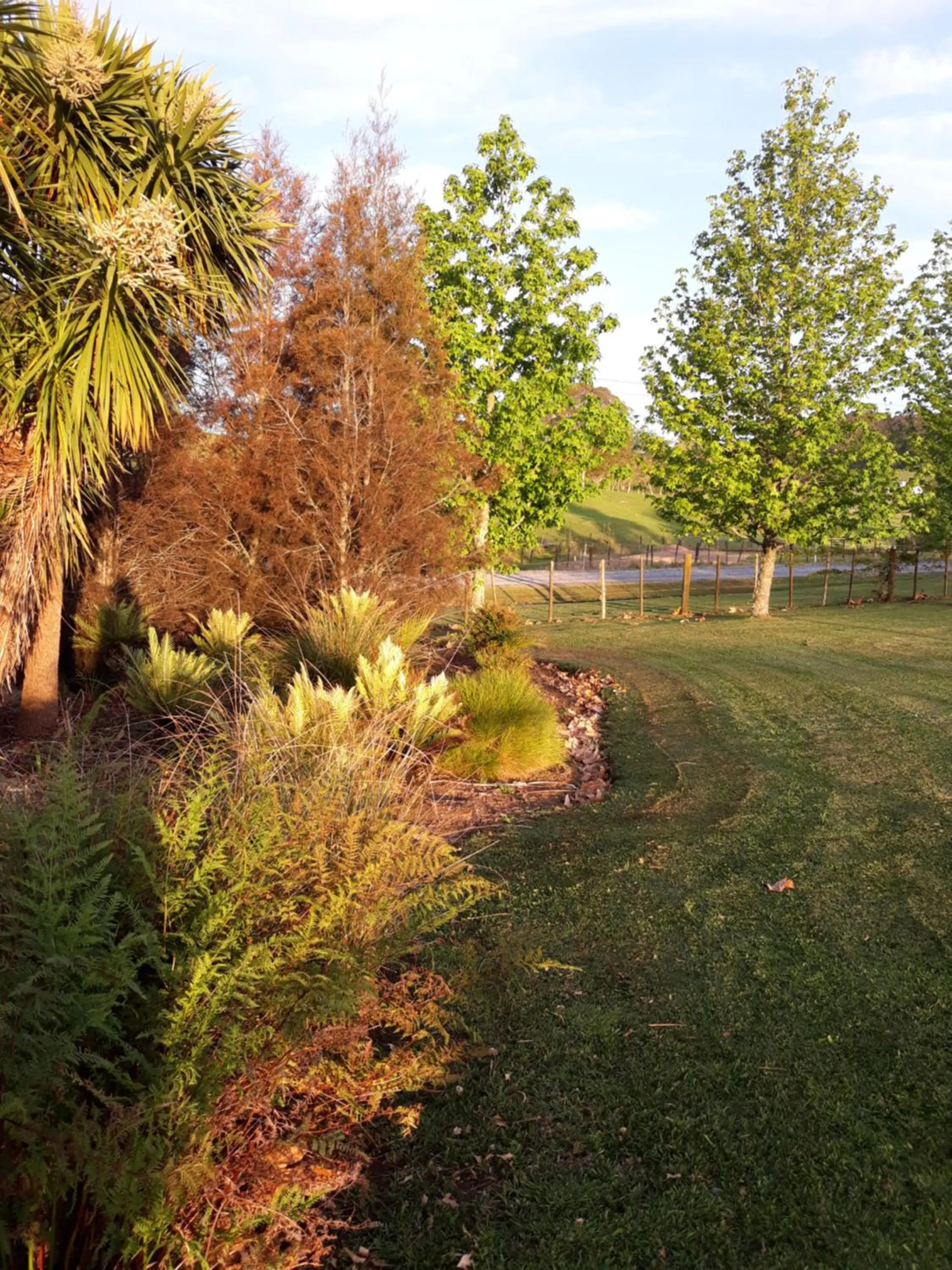 Garden in Rural Palms