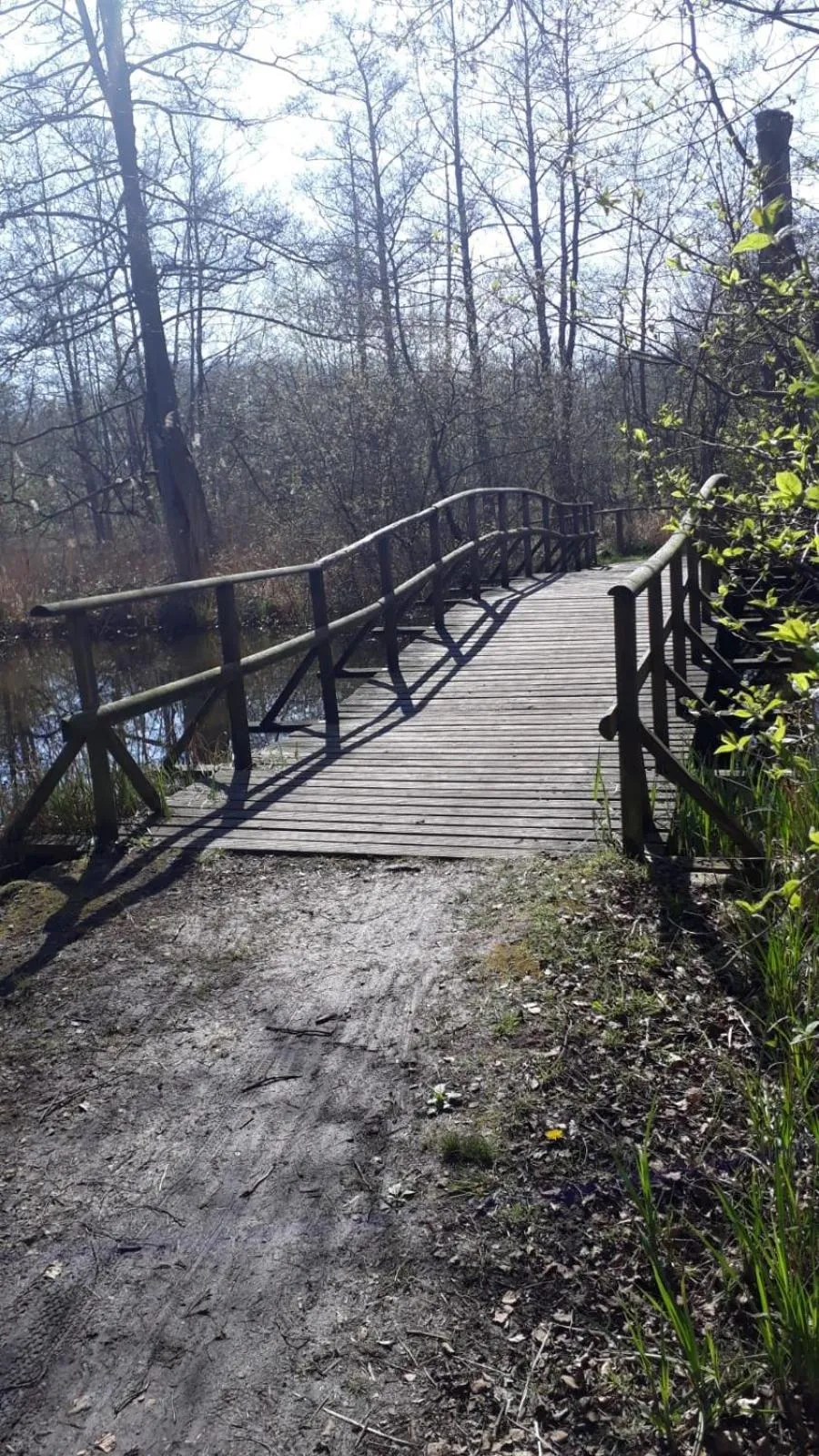 Natural landscape in Landhaus am Schaalsee