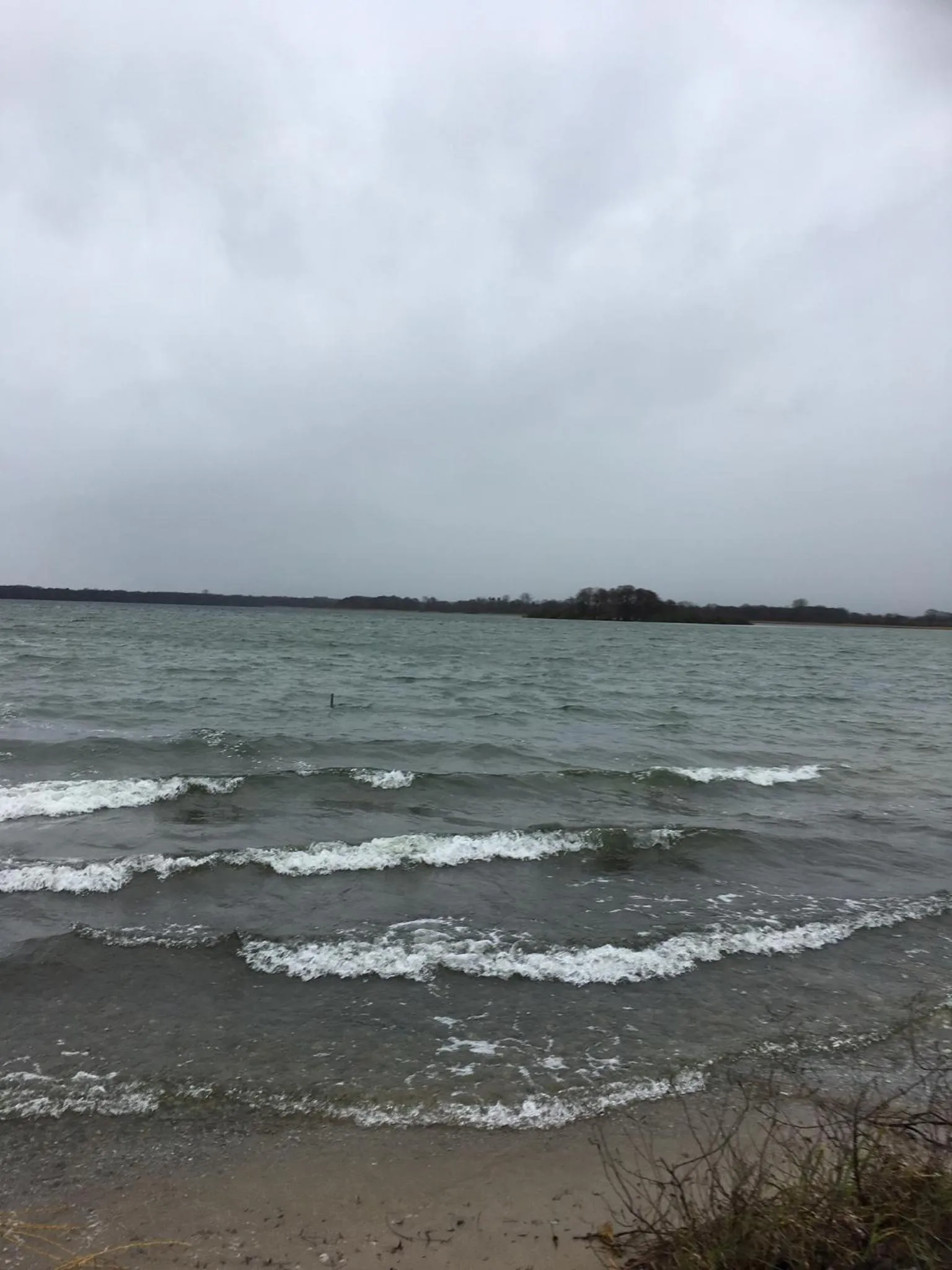 Natural landscape in Landhaus am Schaalsee