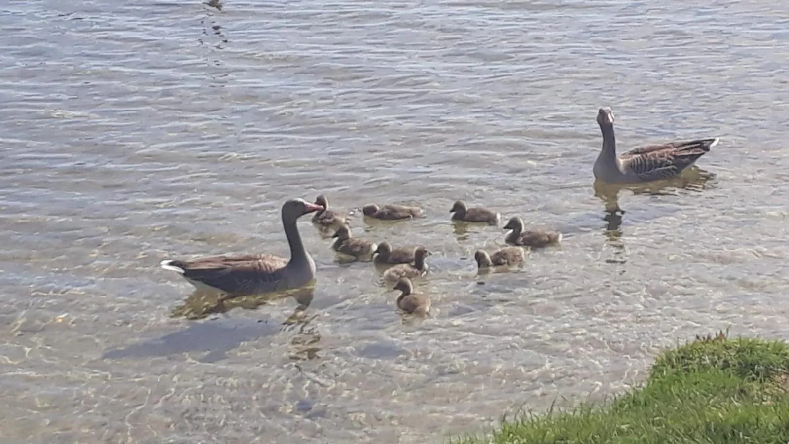 Natural landscape in Landhaus am Schaalsee