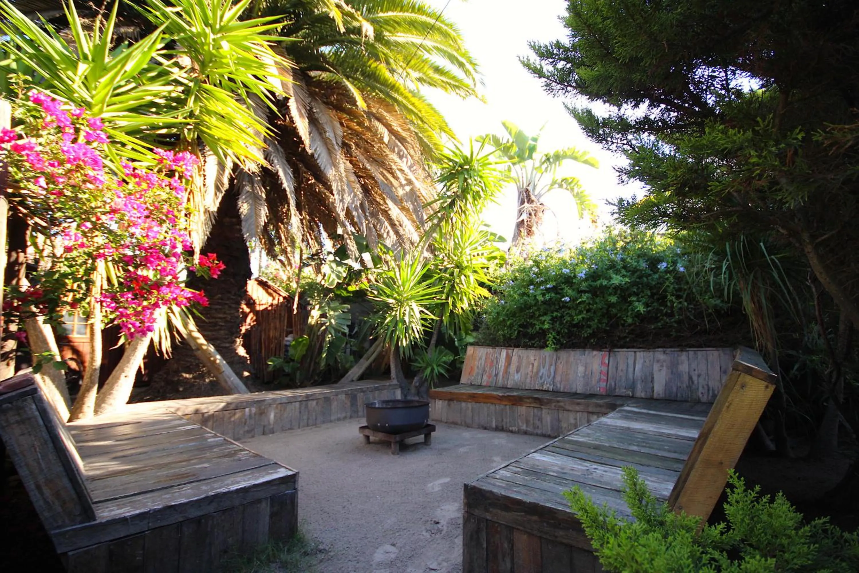 Patio in Saltycrax Backpackers and Surf Hostel