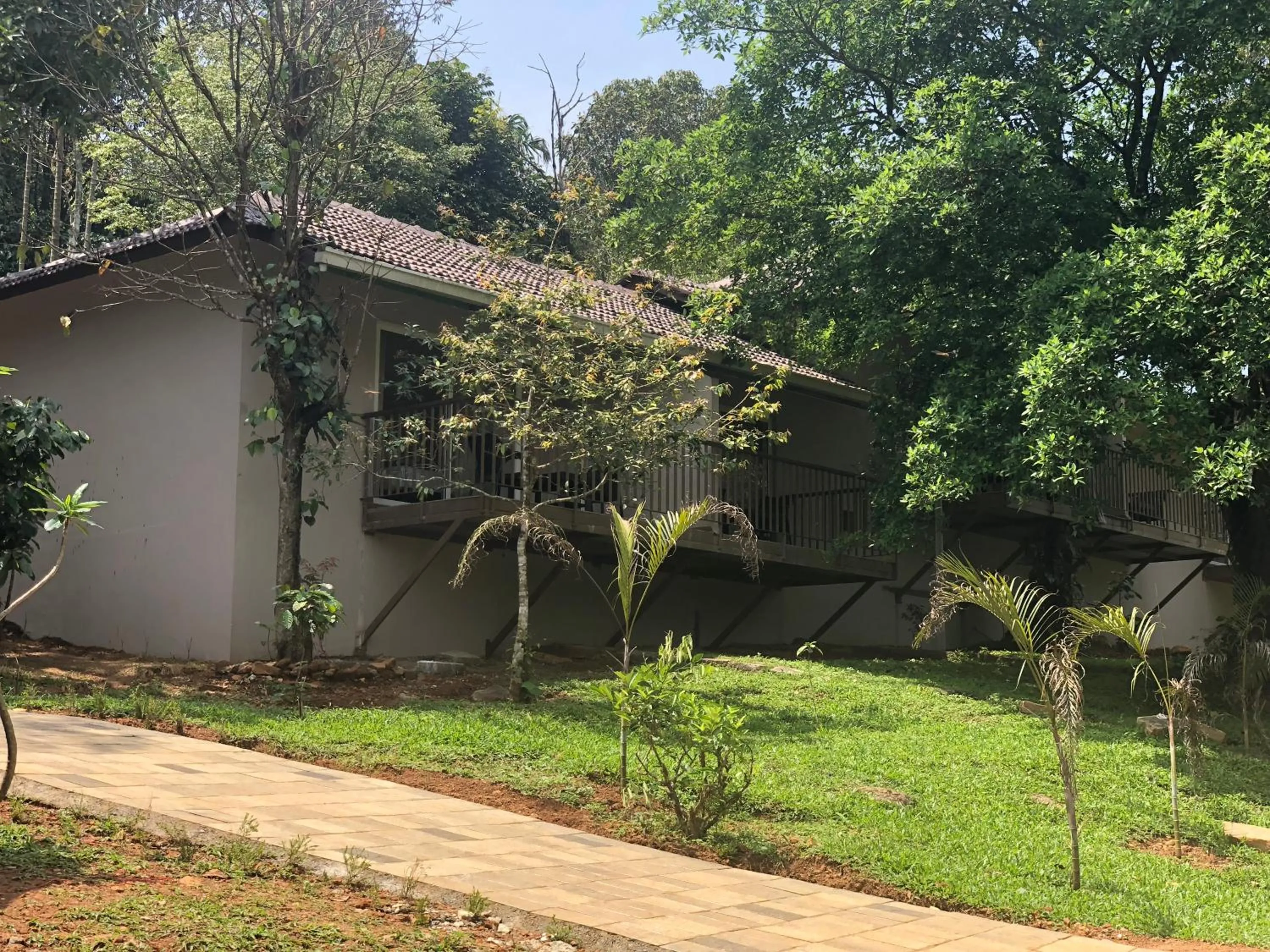 Garden view in Abad Brookside Wayanad