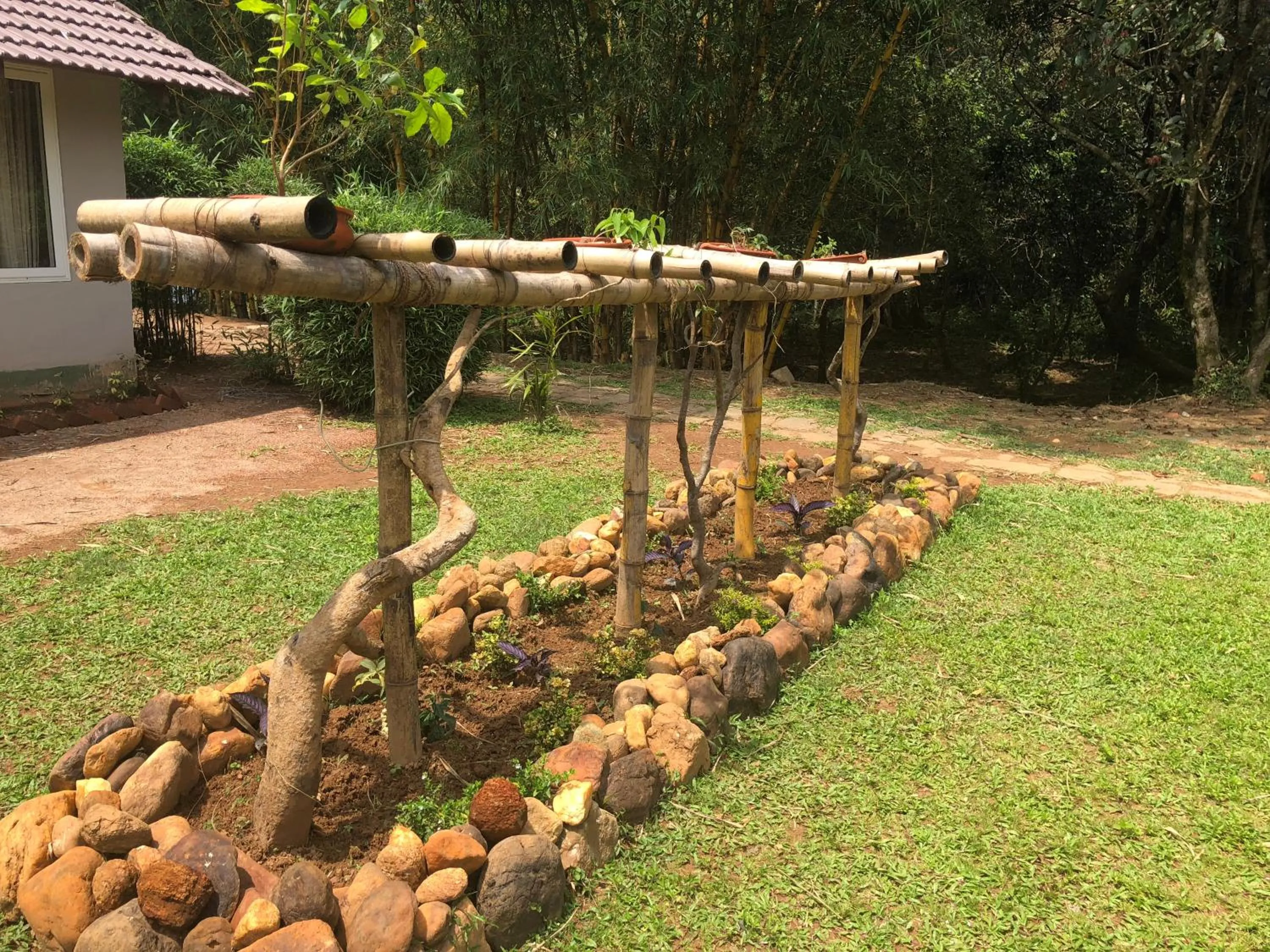 Garden in Abad Brookside Wayanad