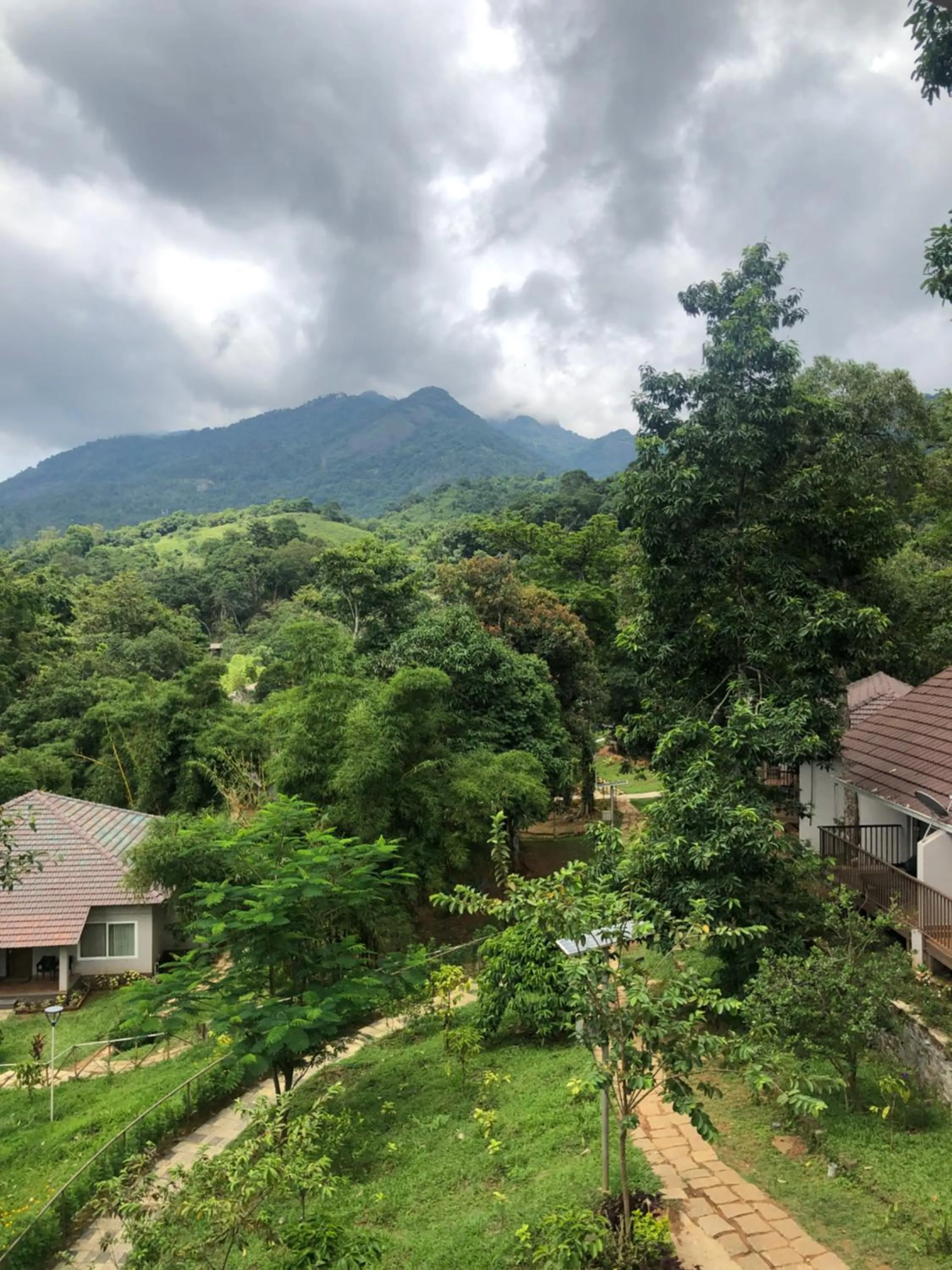 Natural landscape in Abad Brookside Wayanad