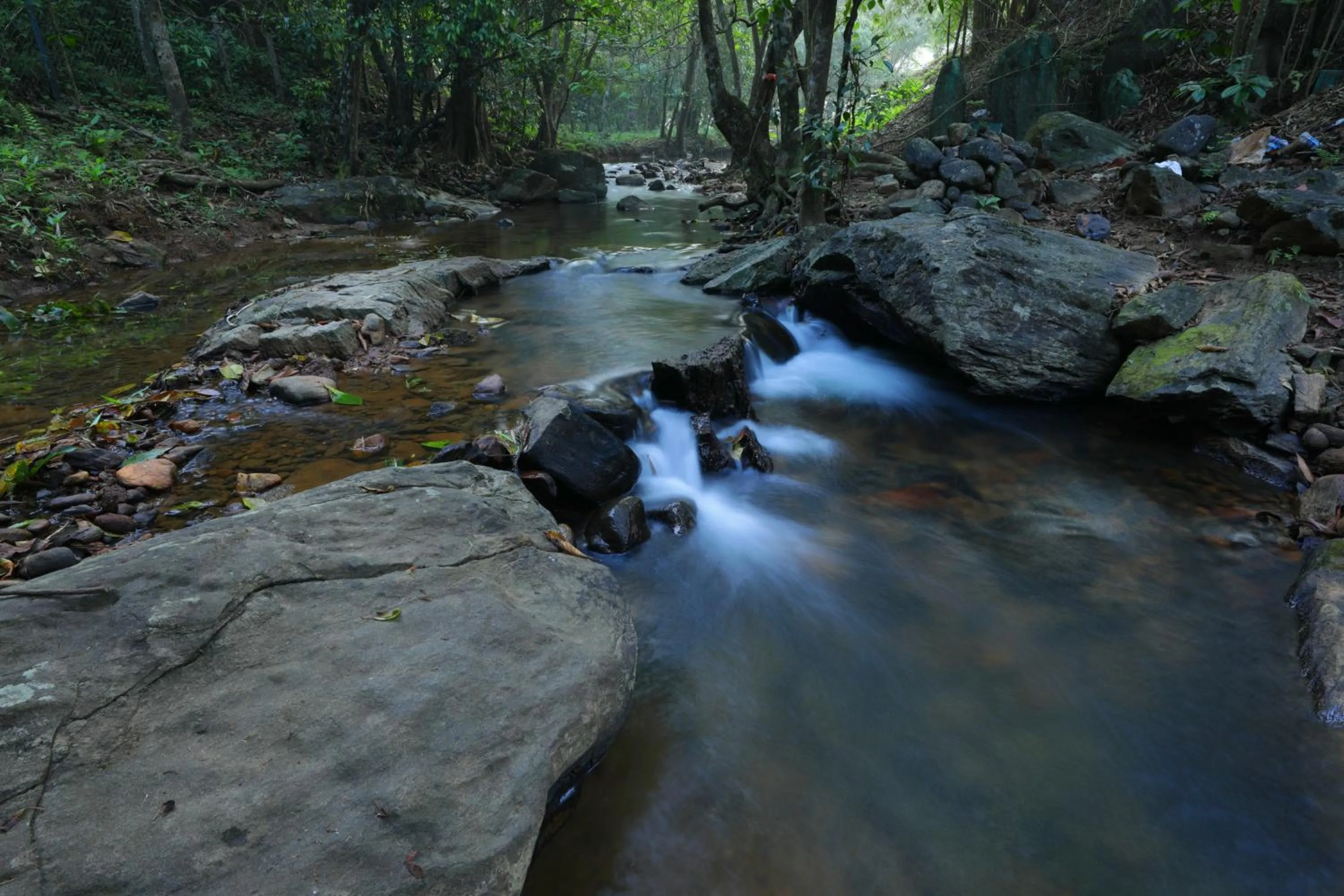 River view in Abad Brookside Wayanad