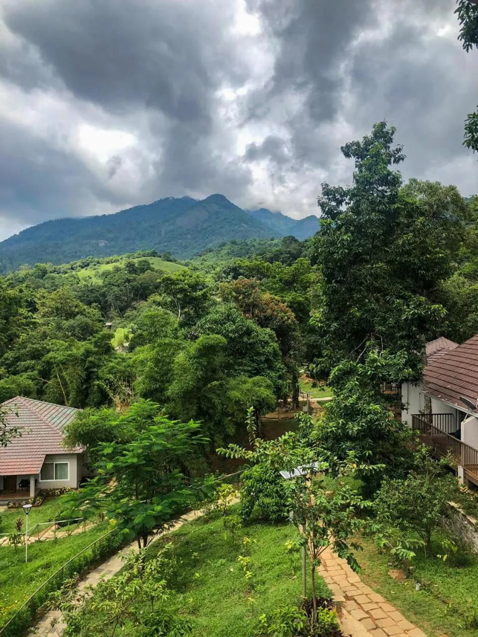 Natural landscape in Abad Brookside Wayanad