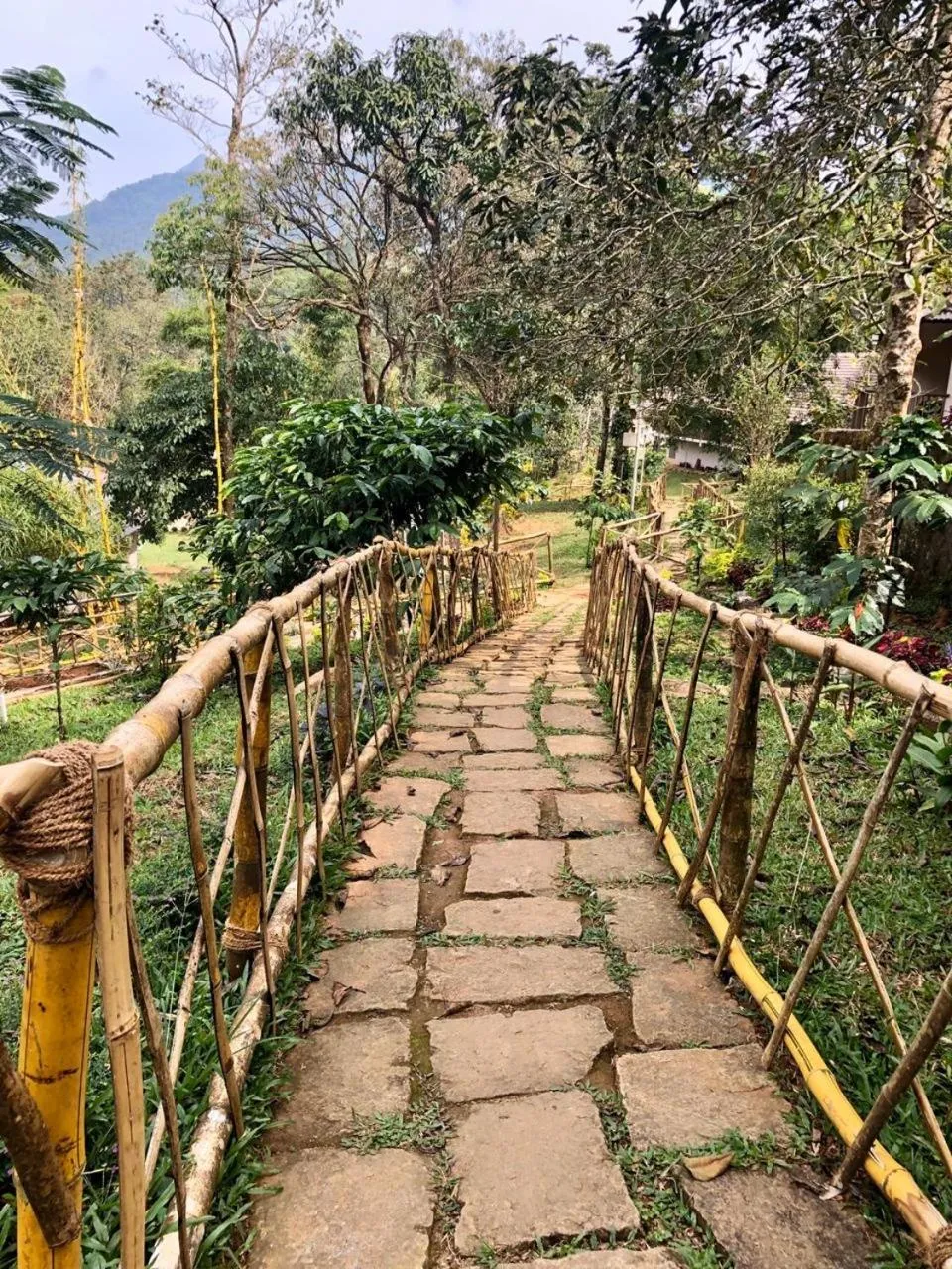 Natural landscape in Abad Brookside Wayanad