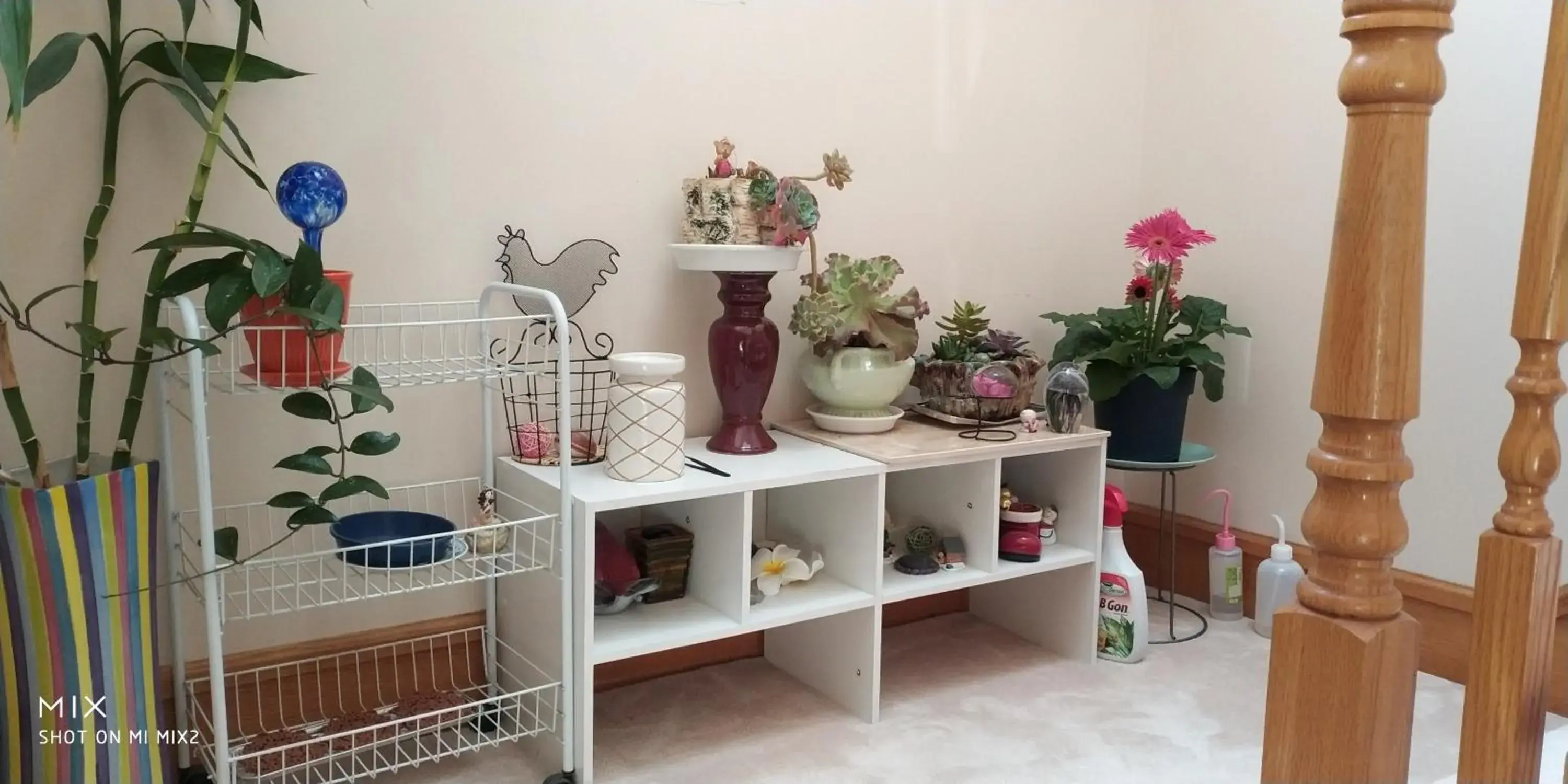 Single Room with Private Bathroom in Helen's House / Close to Skytrain and Airport Single Room with Private Bathroom in Helen's House / Close to Skytrain and Airport