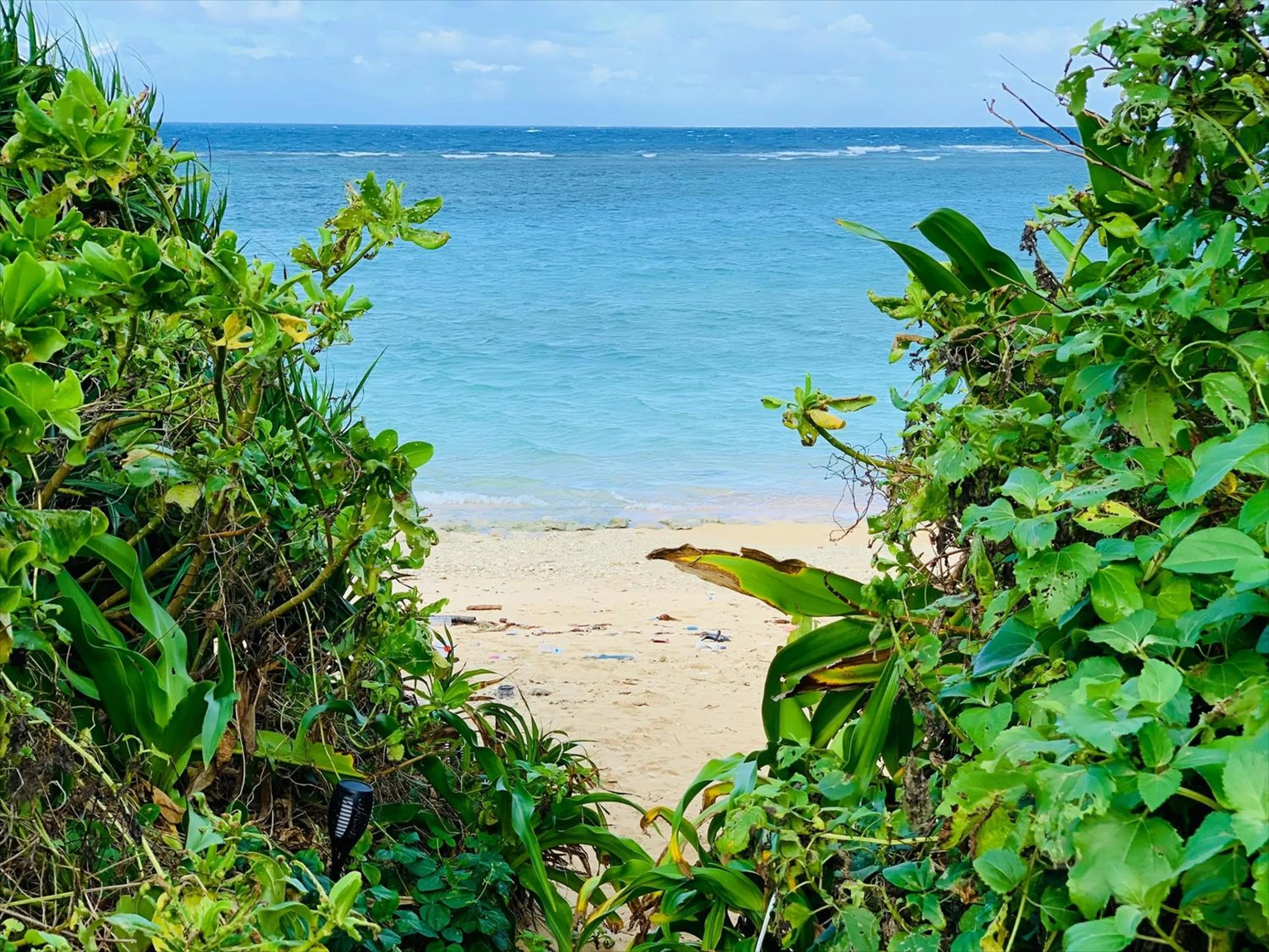 Beach in The Rescape