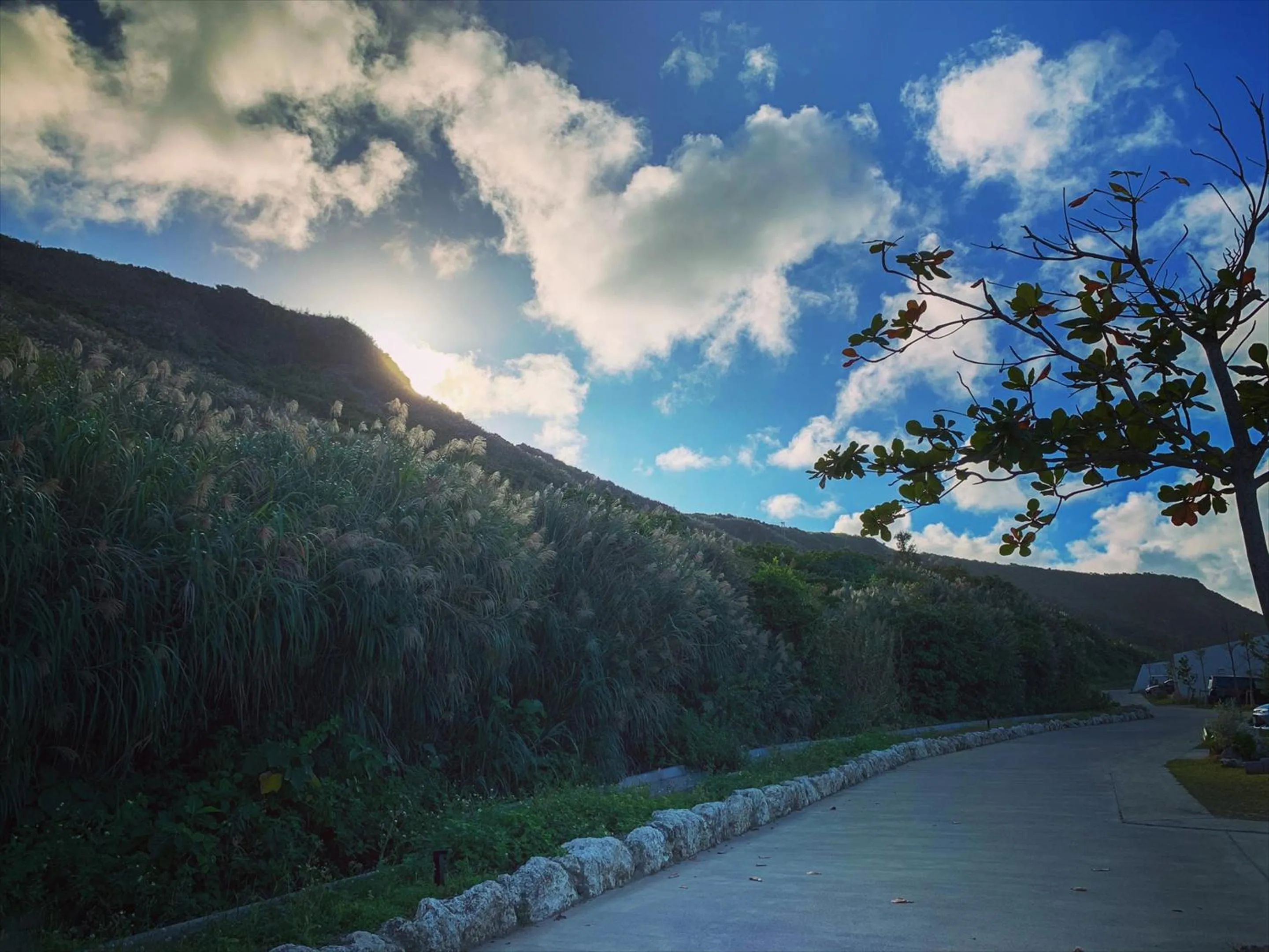 On site in The Rescape