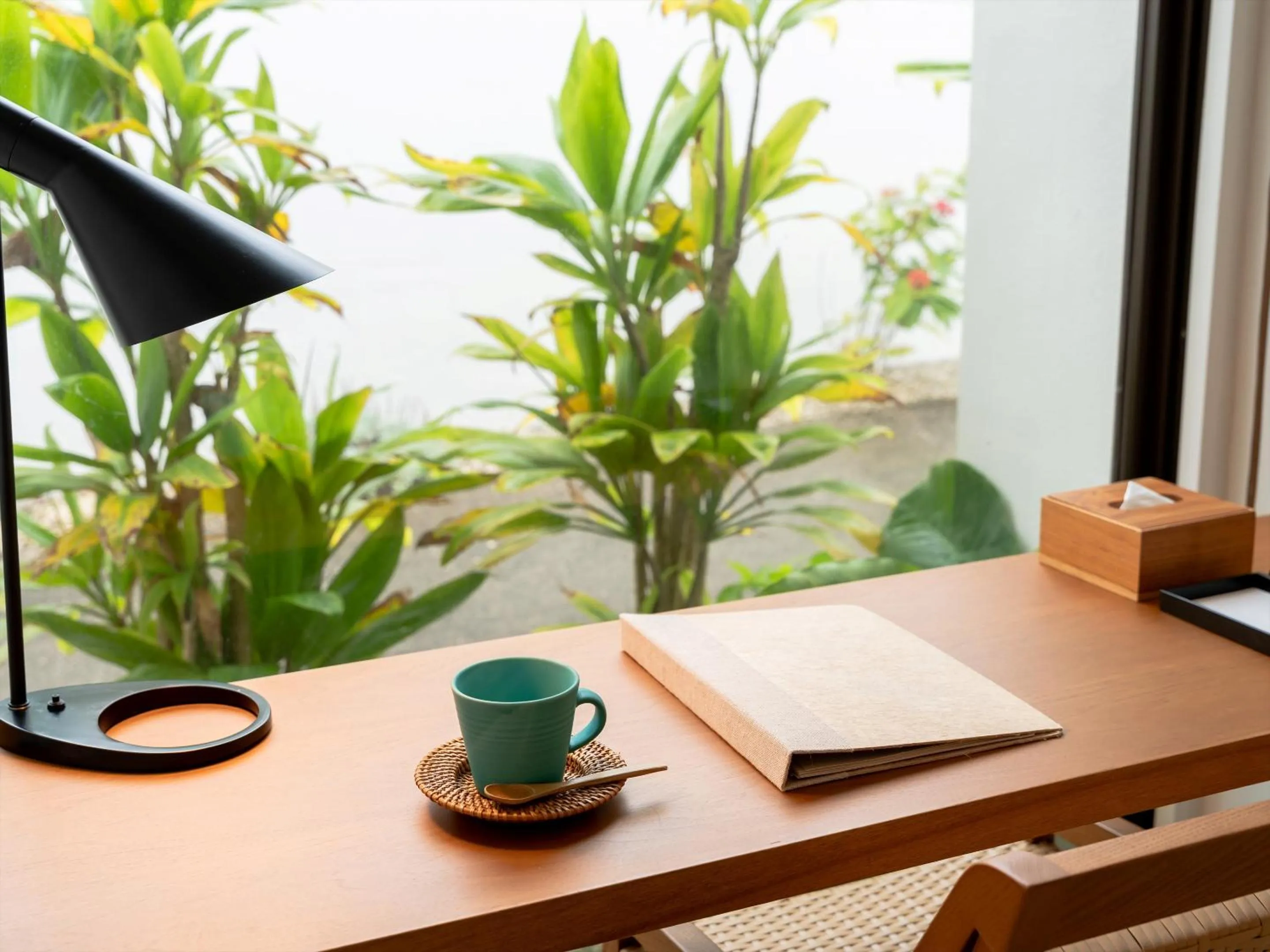 Photo of the whole room in The Rescape