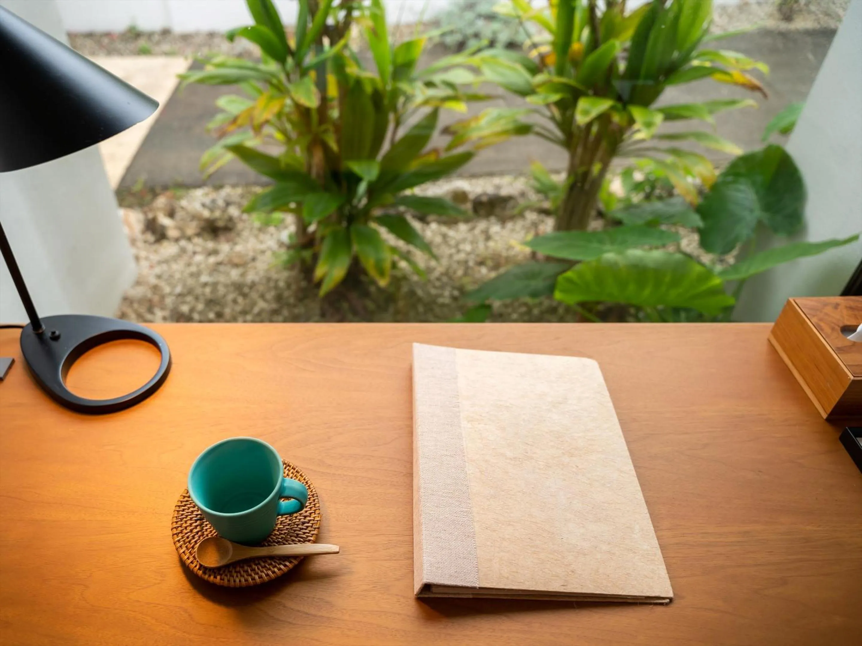 Photo of the whole room in The Rescape