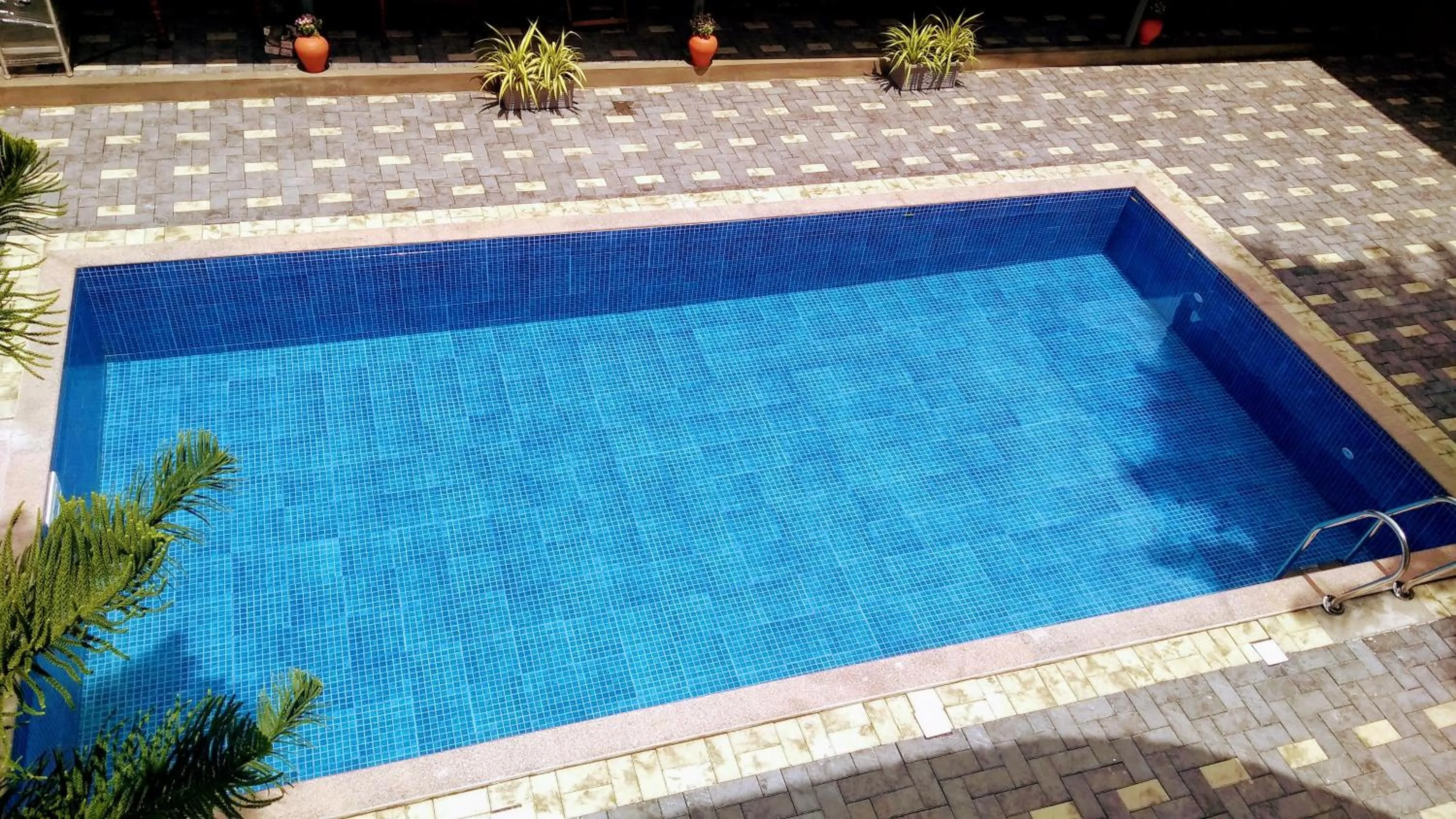 Swimming pool in Dutch Bungalow