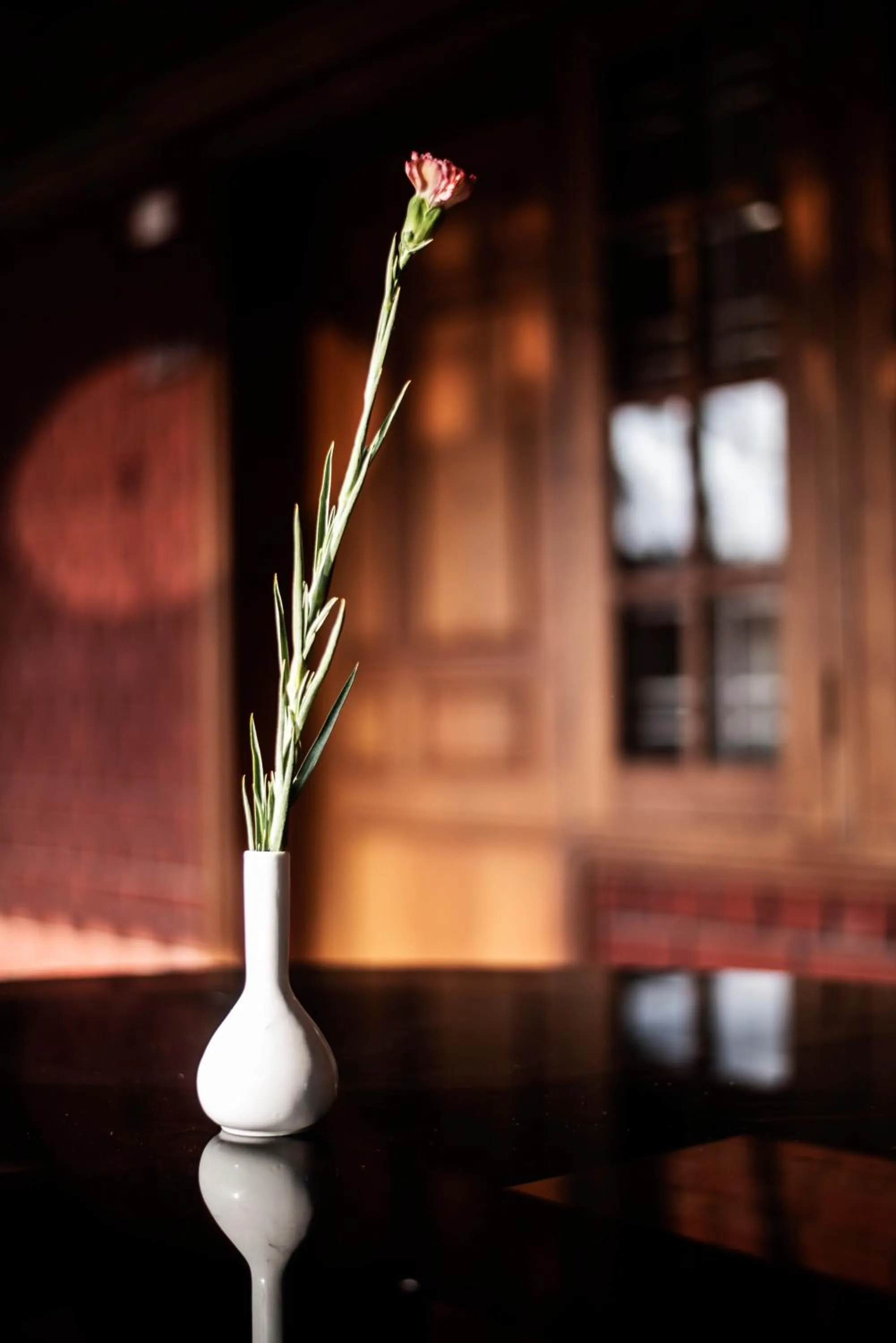 Restaurant/places to eat in Dutch Bungalow