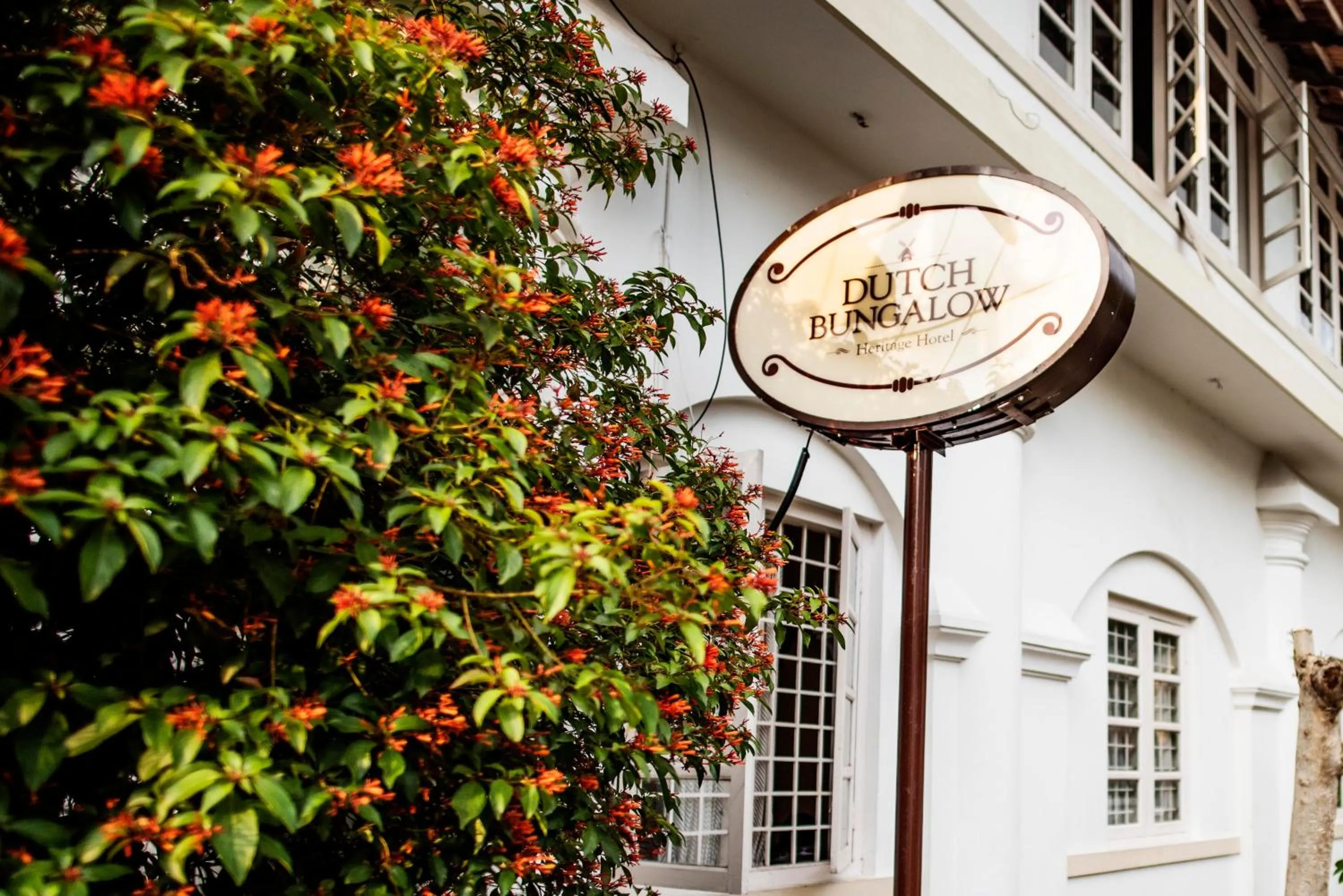 Property logo or sign in Dutch Bungalow