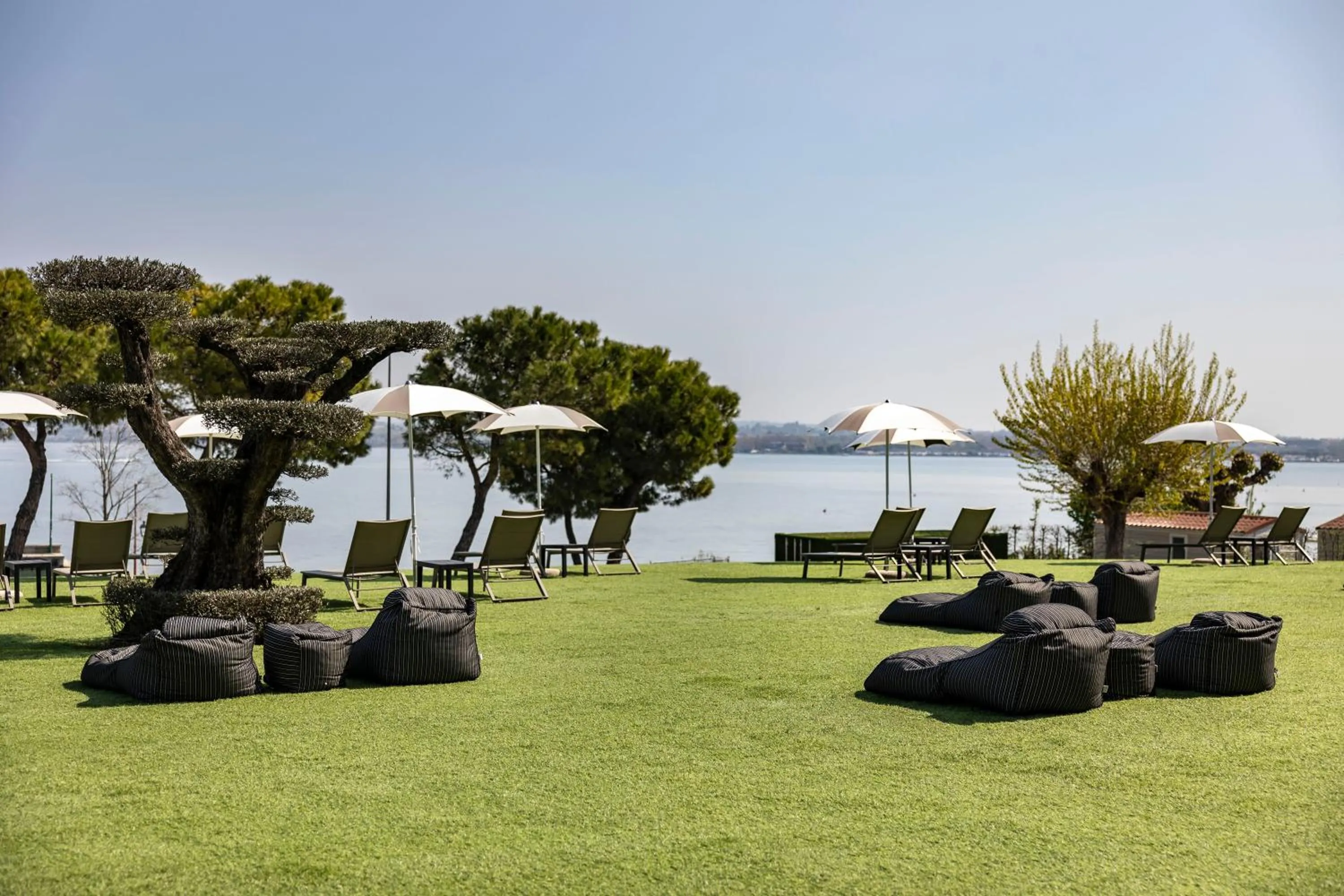 Garden in Vision Hotel