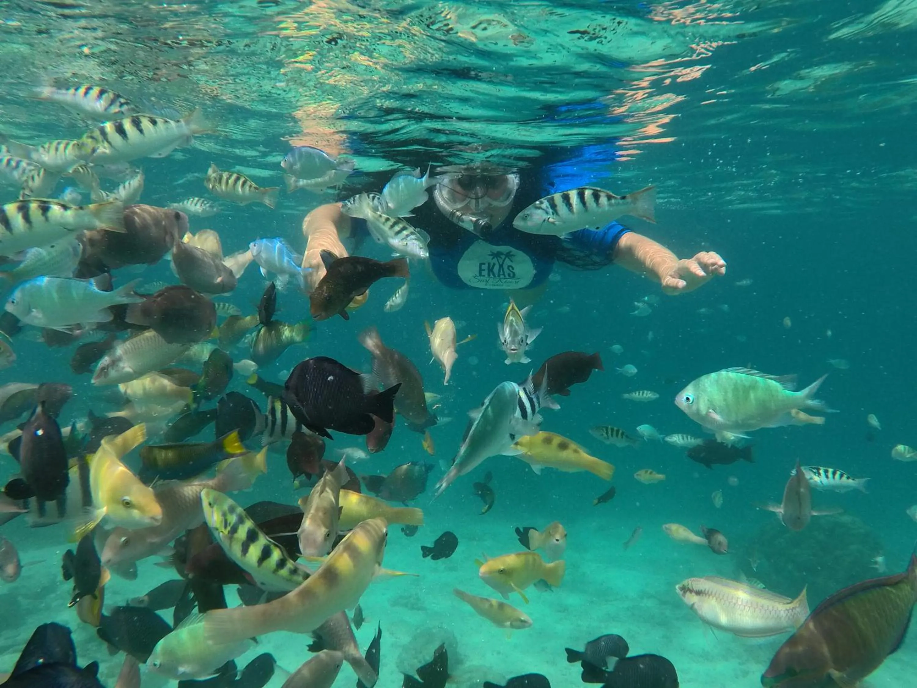 Snorkeling in Ekas Surf Resort & Surf Camp