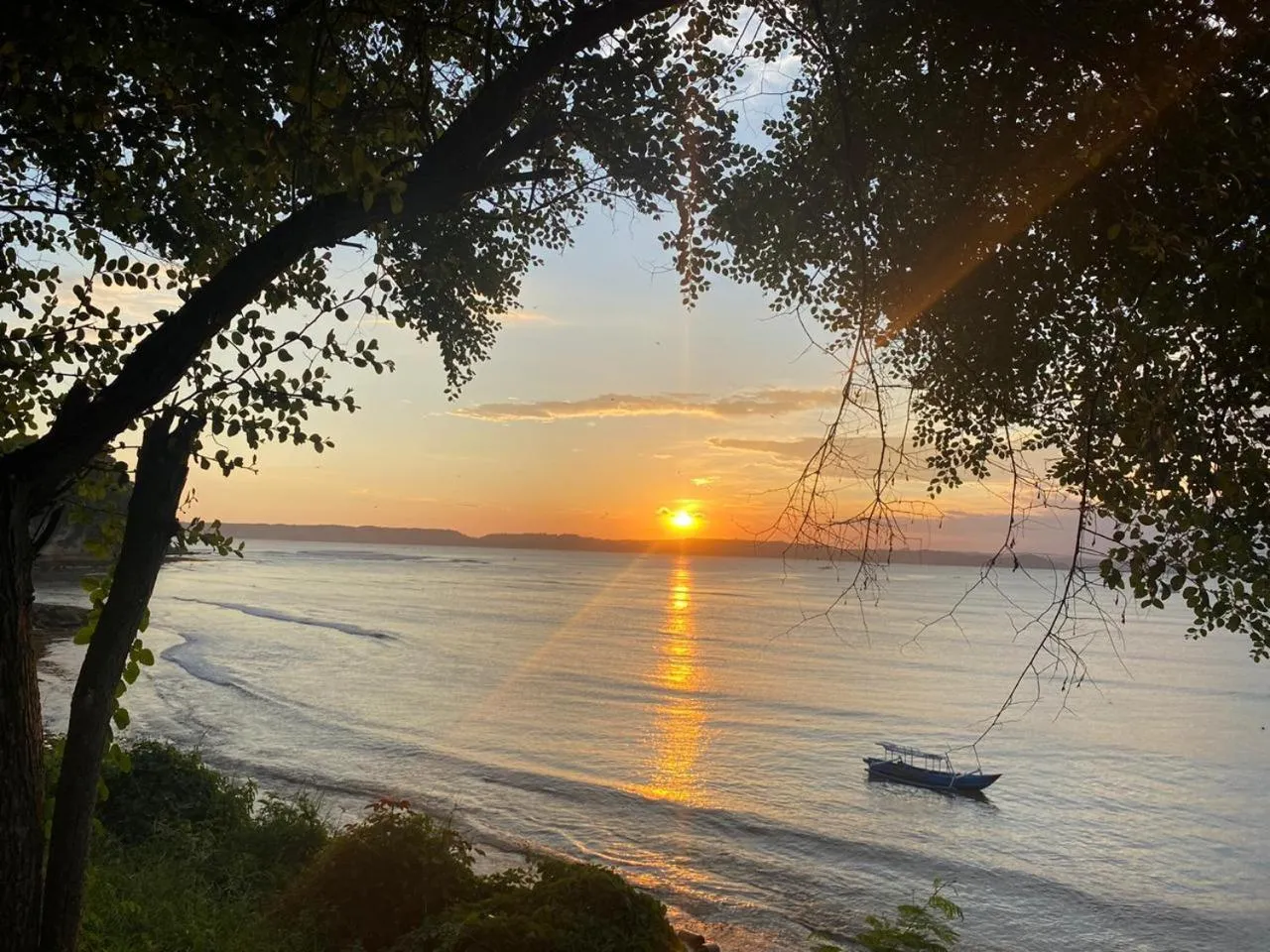 Natural landscape in Ekas Surf Resort & Surf Camp